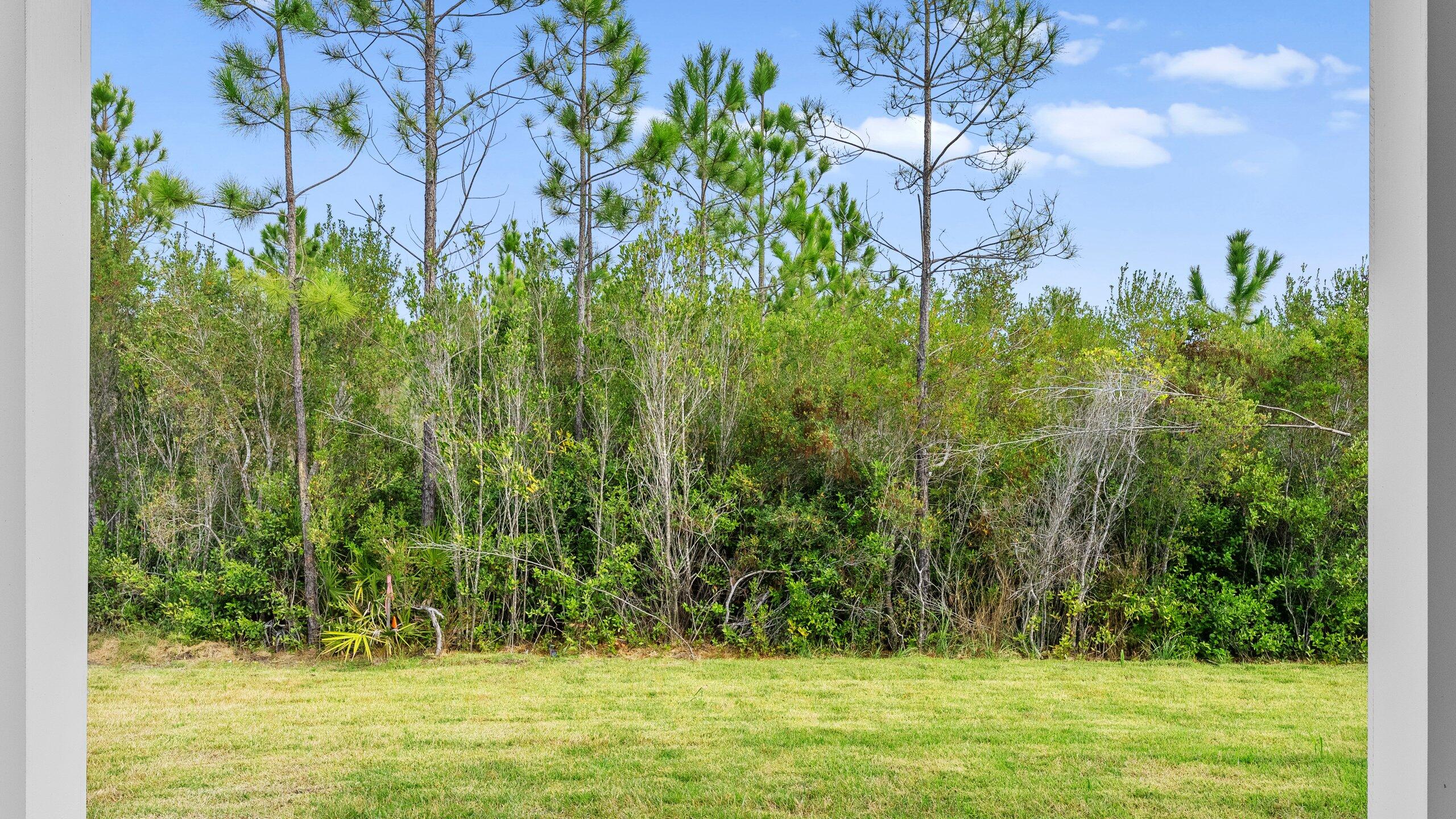 Salt Grass at Ward Creek - Residential