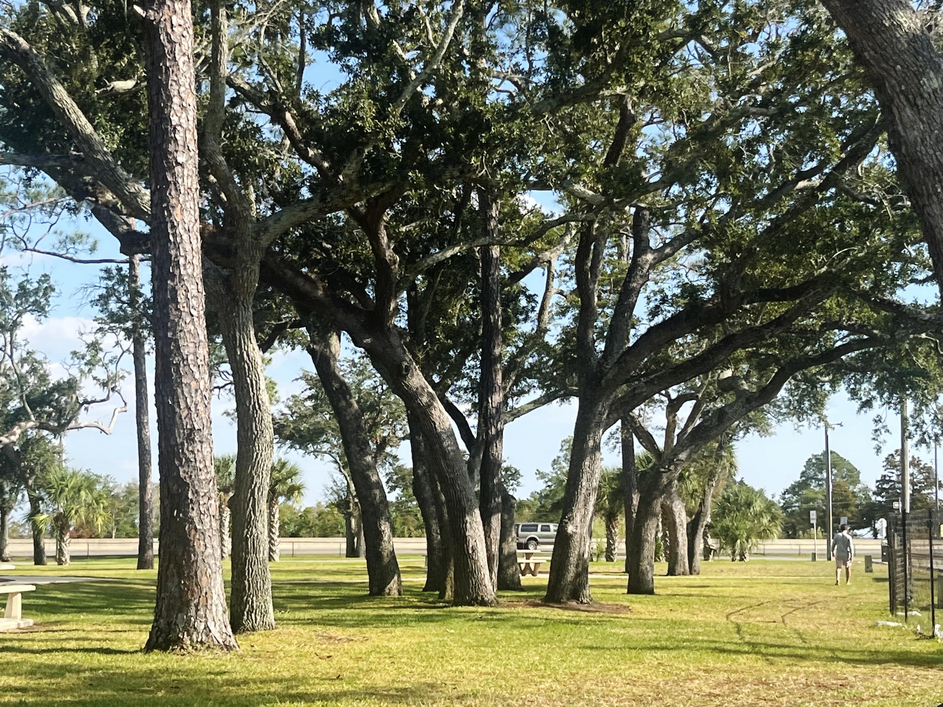 BAY GROVE - Residential