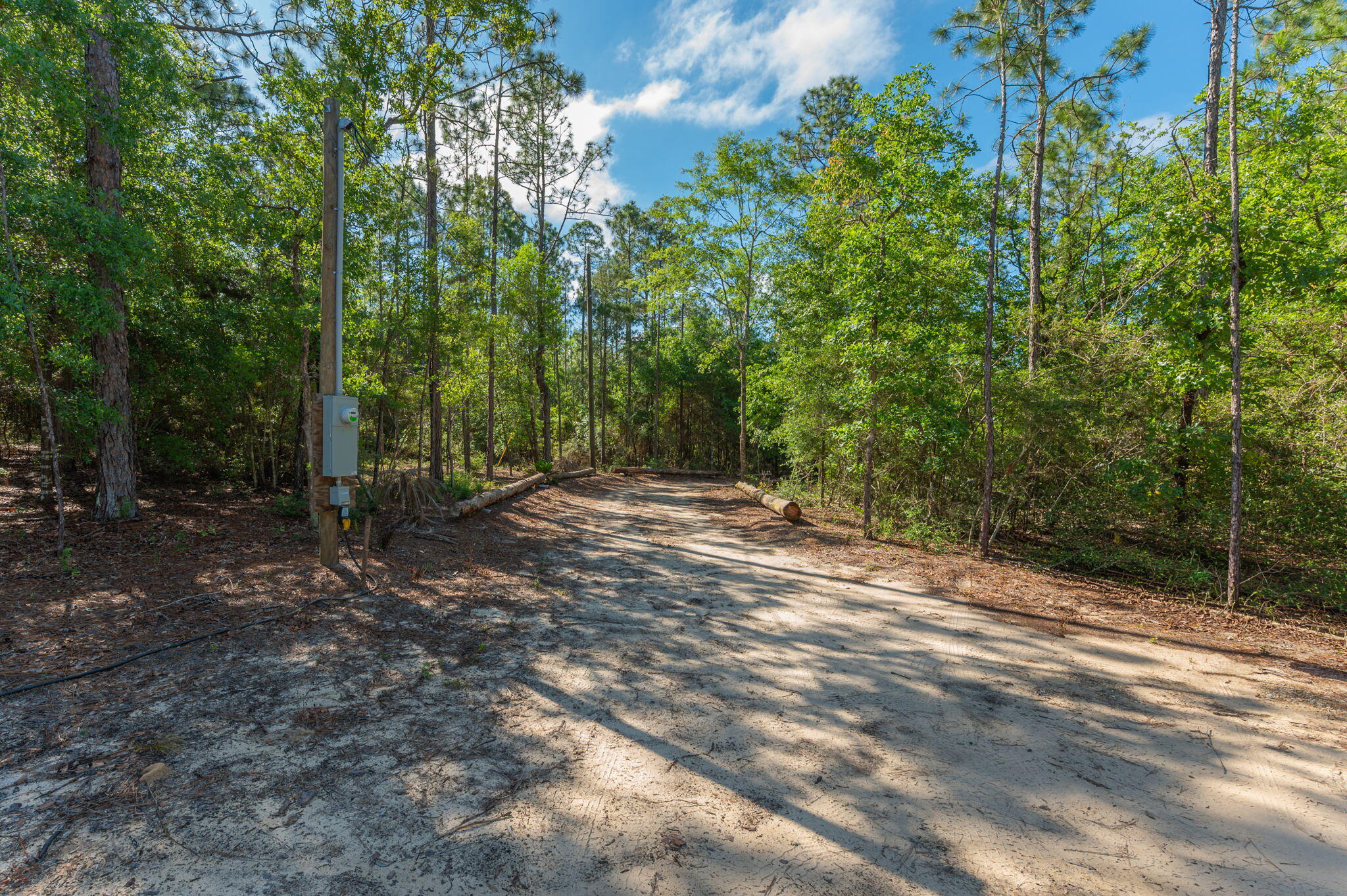 4449 Yellow Bluff Road