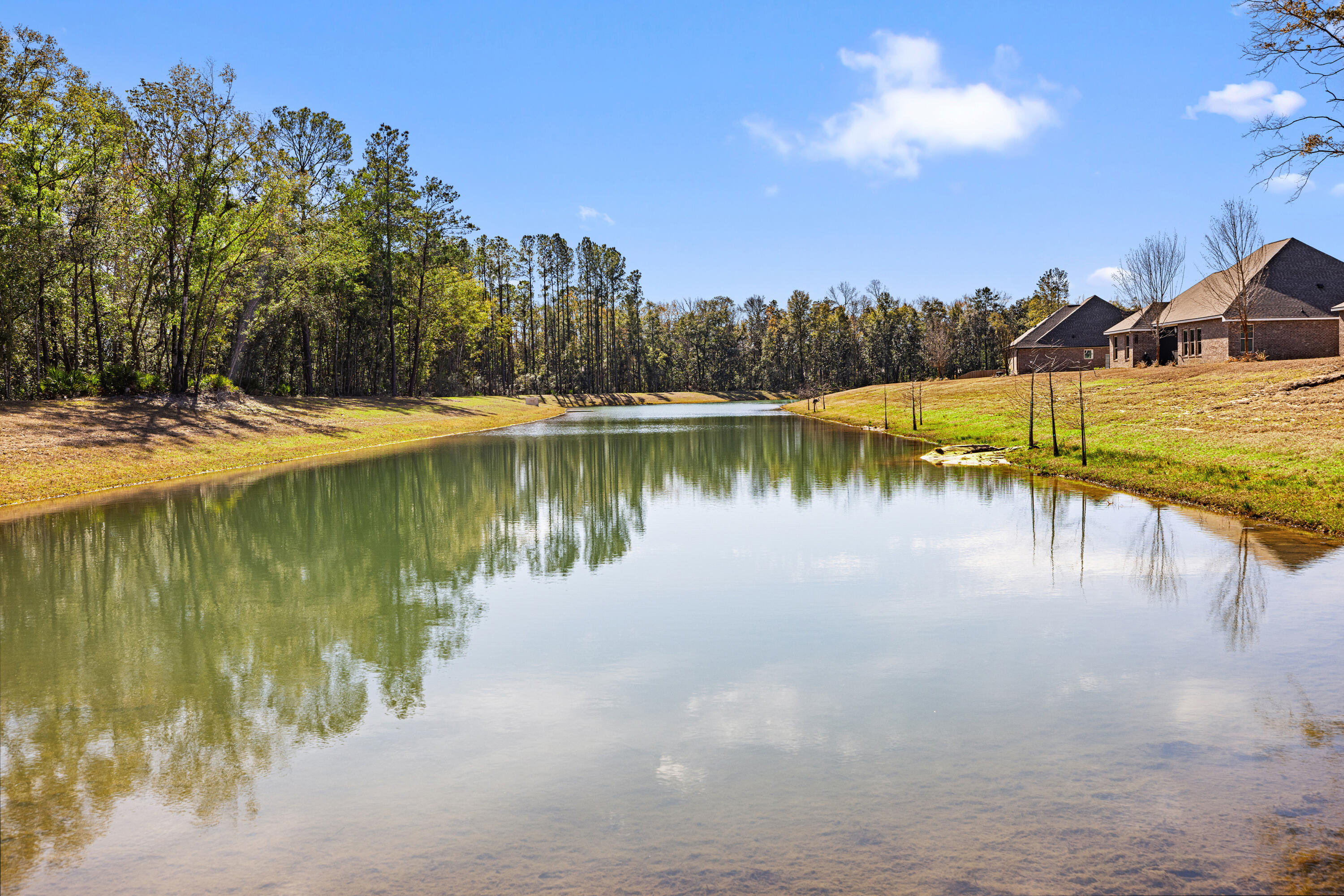 HAMMOCK BAY - BIRD SONG - Residential