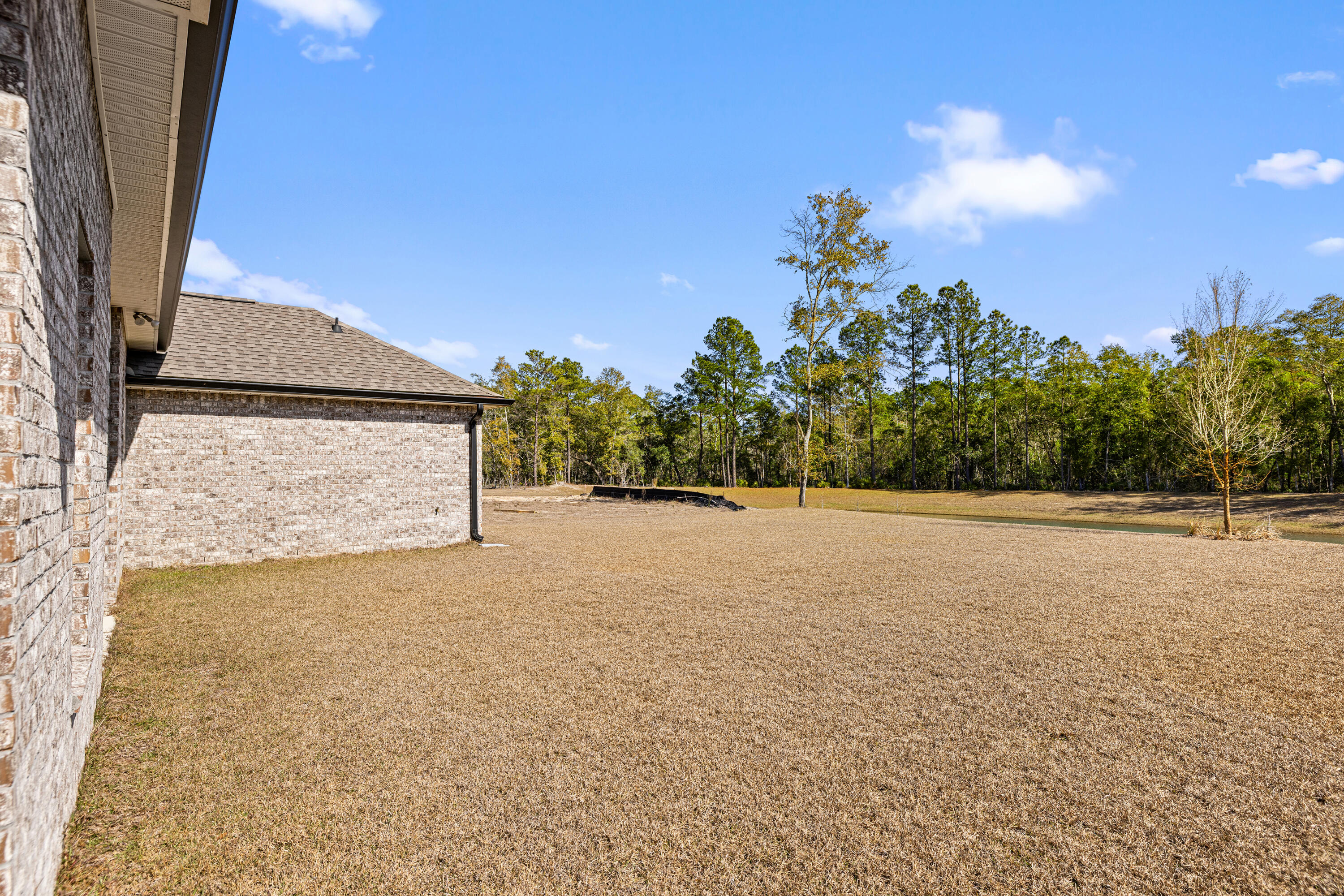 HAMMOCK BAY - BIRD SONG - Residential