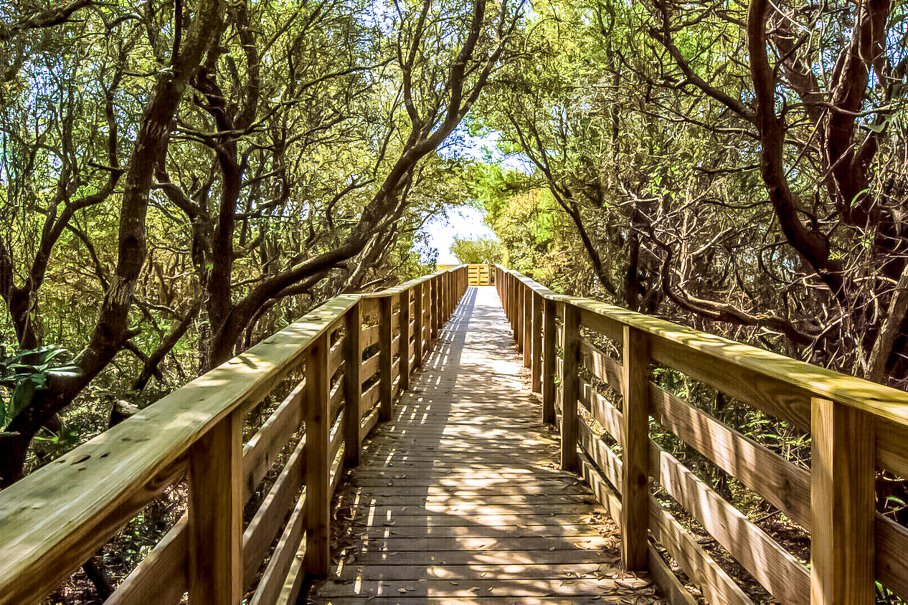 THE PRESERVE AT GRAYTON BEACH - Residential