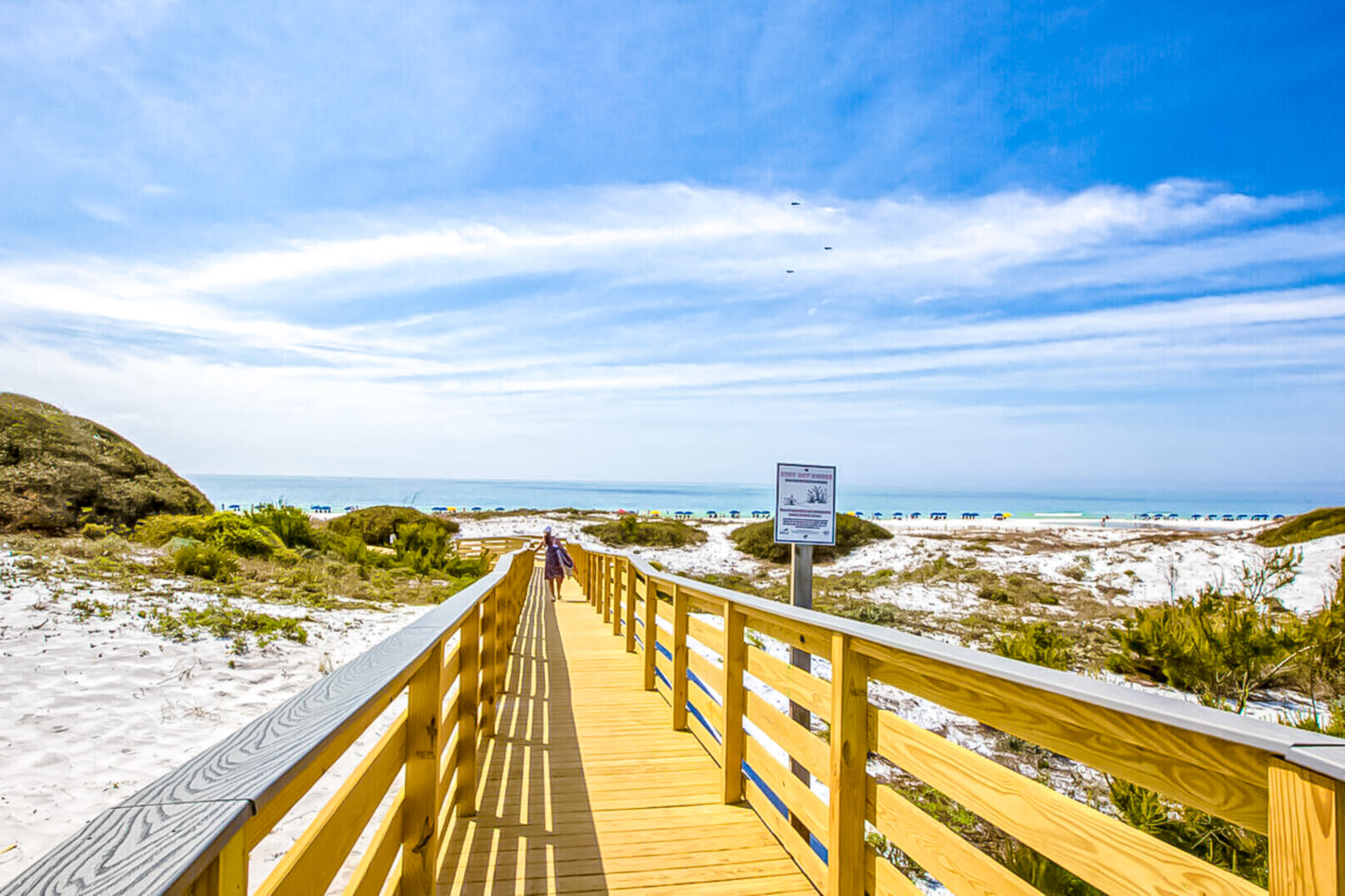THE PRESERVE AT GRAYTON BEACH - Residential
