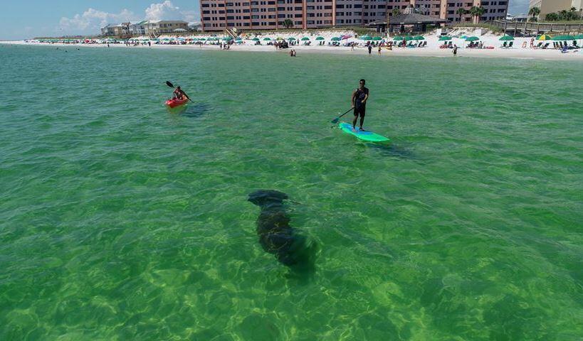 JETTY EAST CONDO - Residential