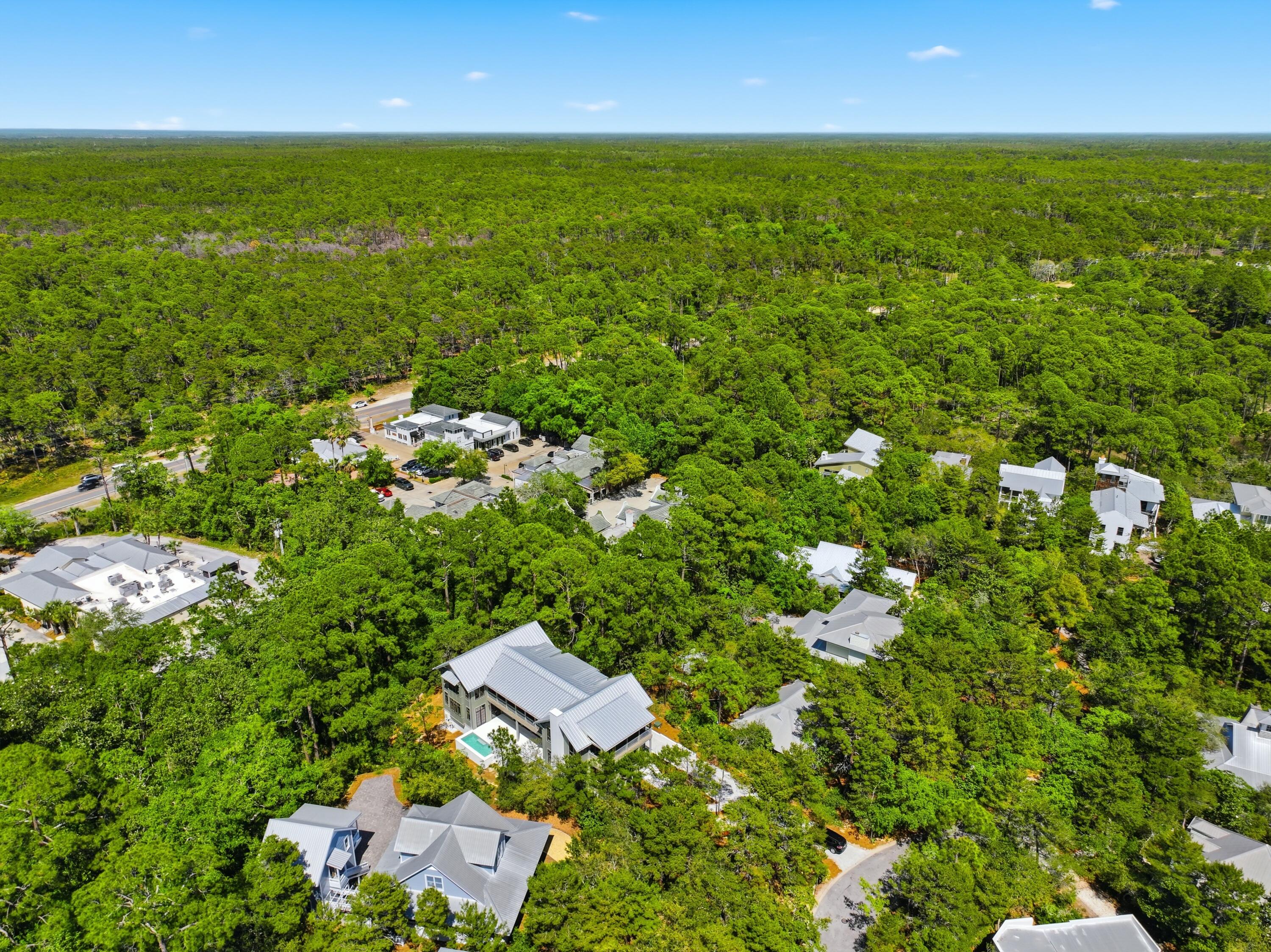 LAKE PLACE AT GRAYTON BEACH - Residential
