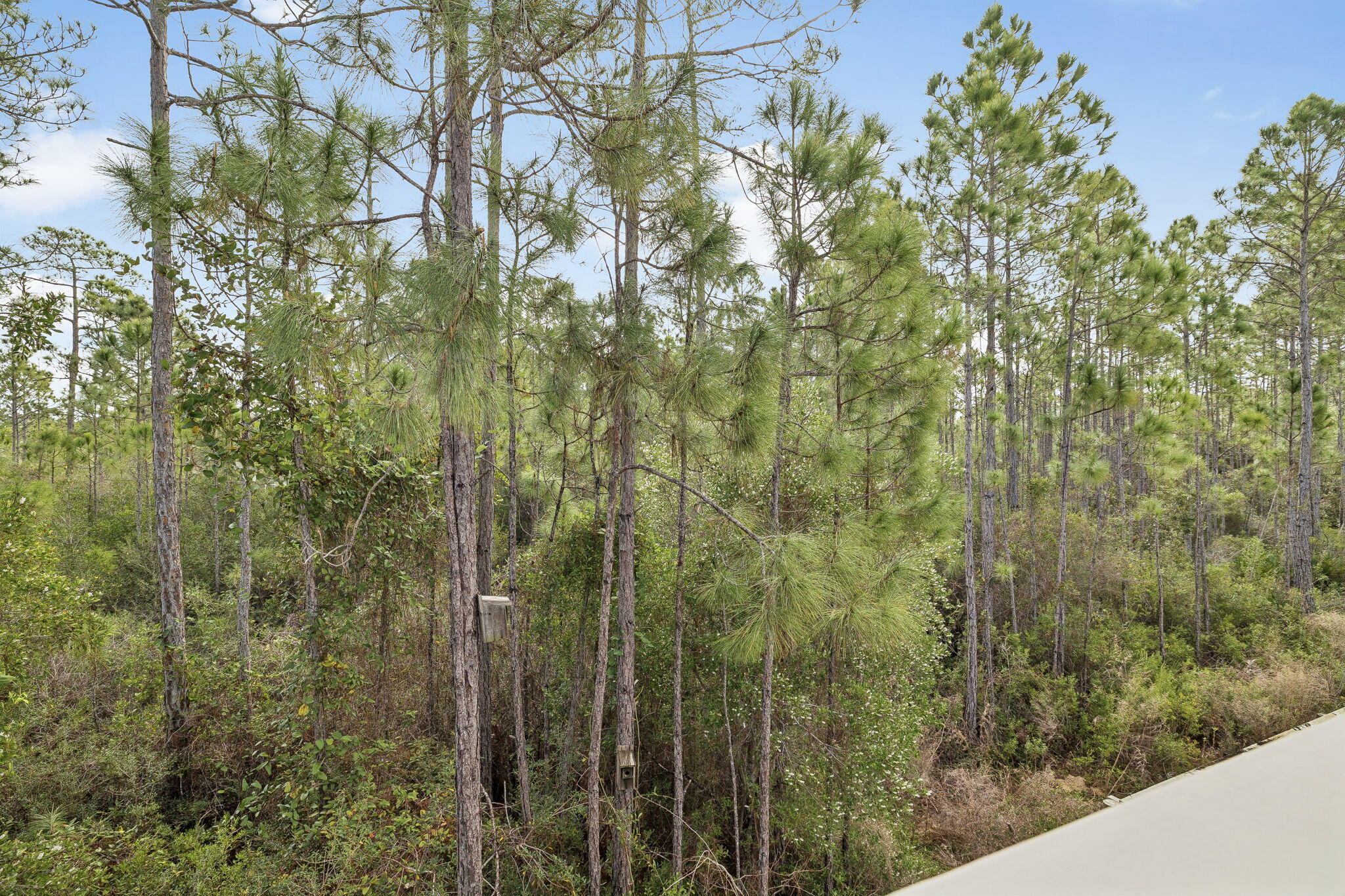 Sugar Sands Estates - Residential