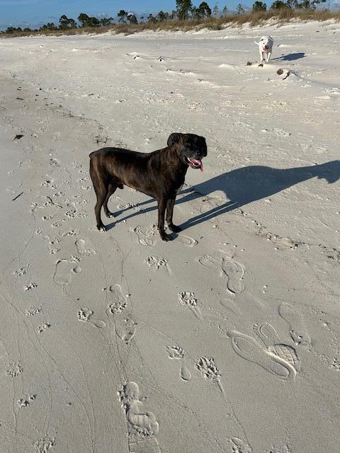 WindMark Beach North - Residential Lease