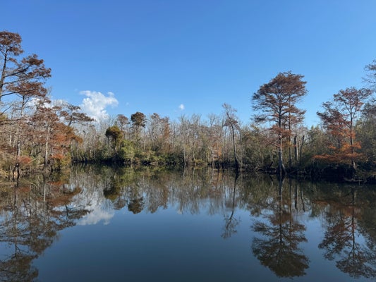 2020 BECKS LAKE RD, CANTONMENT, FL 32533 - Image 36c8d22e8890fb52e3dfd4e94cbe9128/539468496