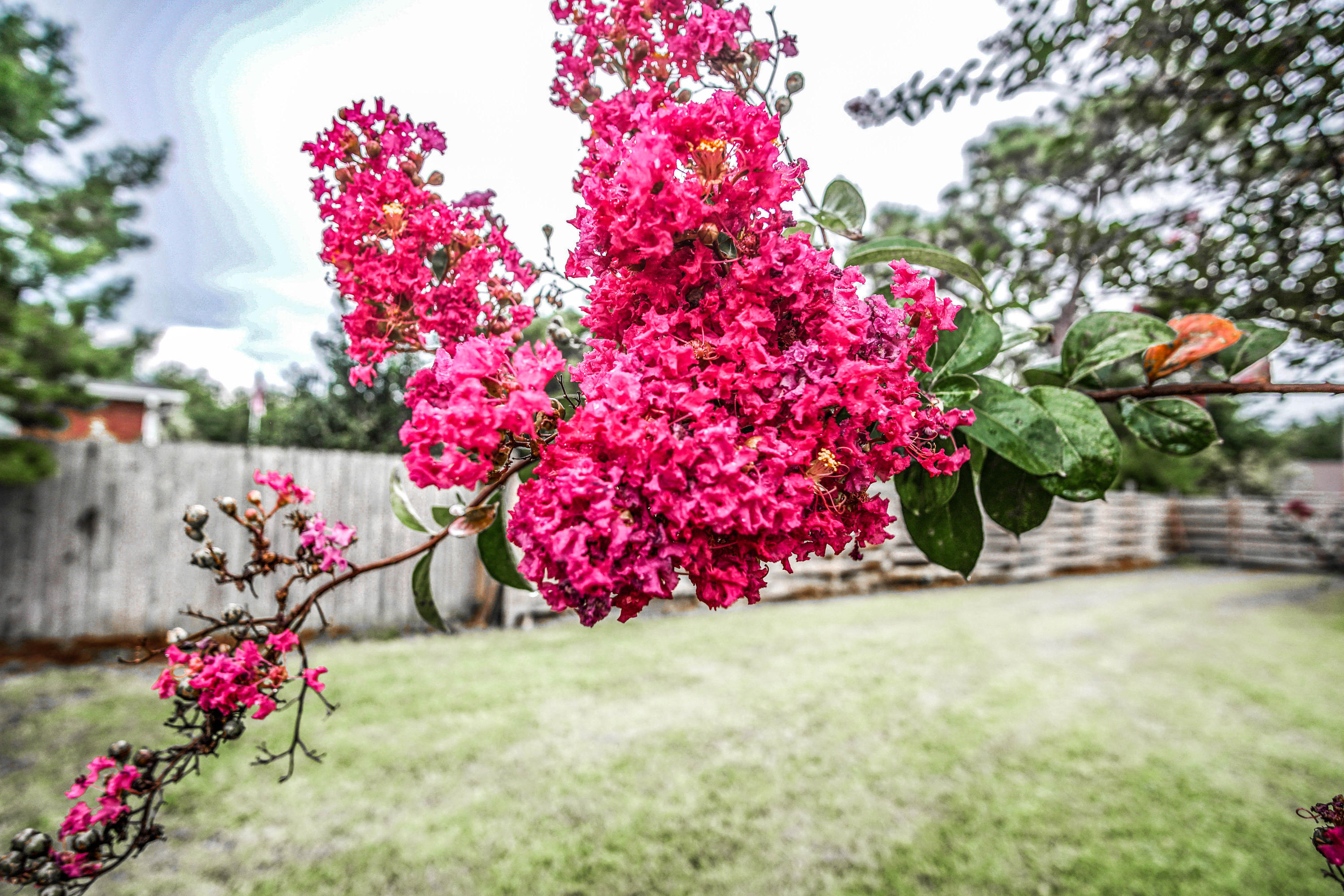 HOLLEY BY THE SEA, 1ST ADD - Residential