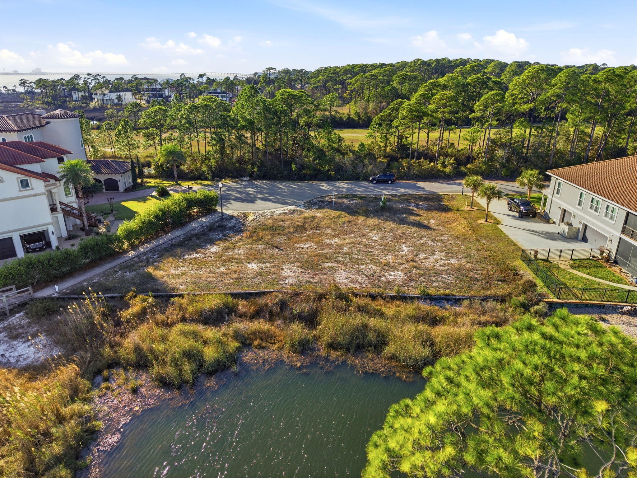 PALMETTO LAKE PRESERVE - Land