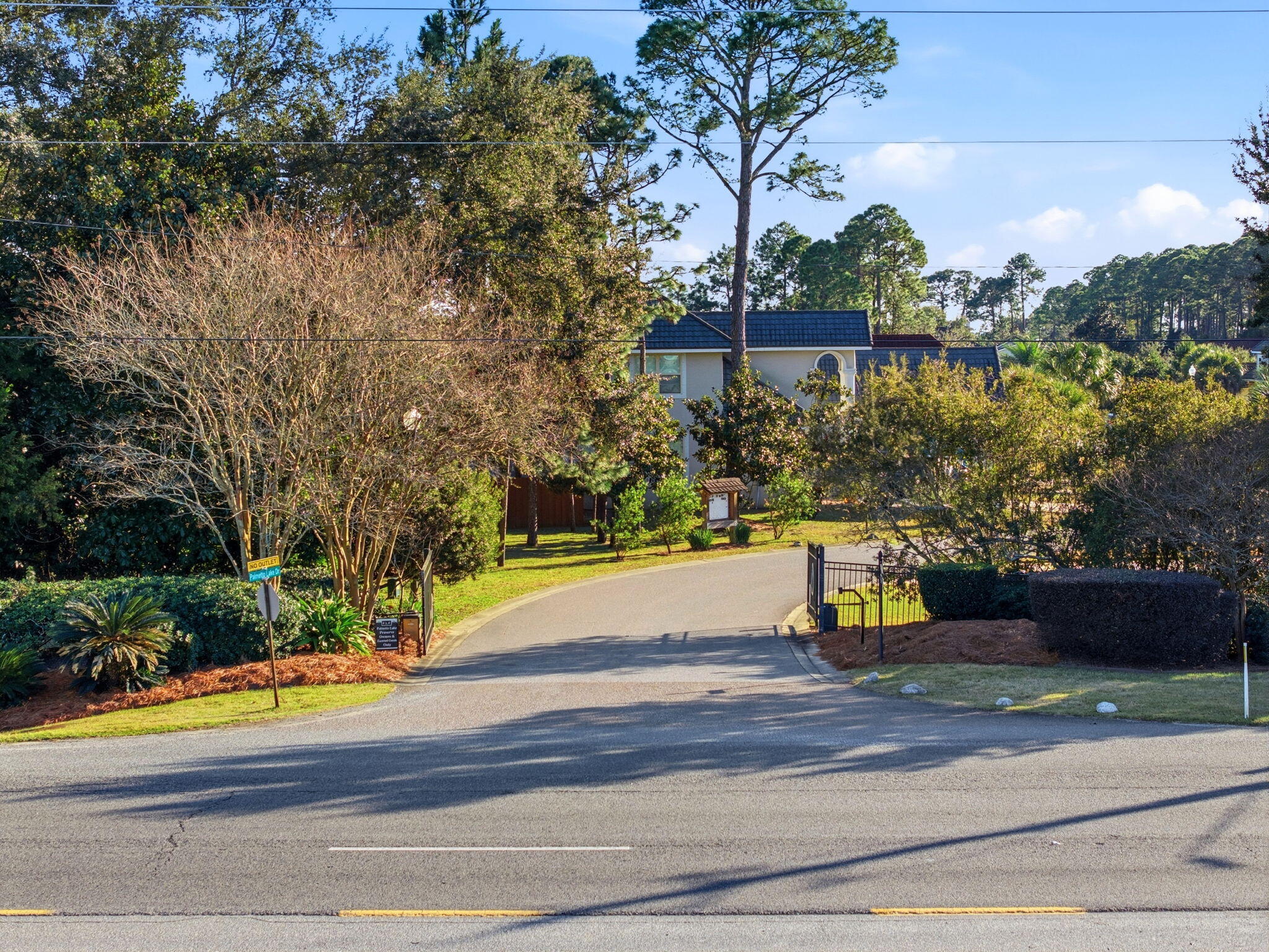 PALMETTO LAKE PRESERVE - Land