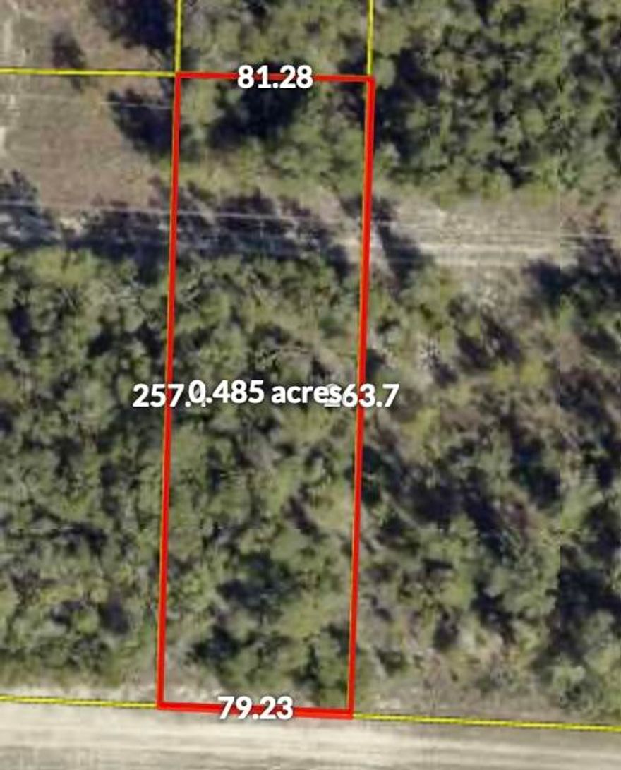 This just under 1/2 acre parcel sits directly on State Highway 90, offering excellent visibility and easy access.  Mostly wooded, giving you a blank canvas to clear and build exactly what you want.  Additional land available (nearly 1/4 acre) for expanded possibilities with access to Royal Palm Ave.  Great opportunity for a homesite or future investment.  Buyer to verify all information, dimensions, zoning, soil testing prior to closing.