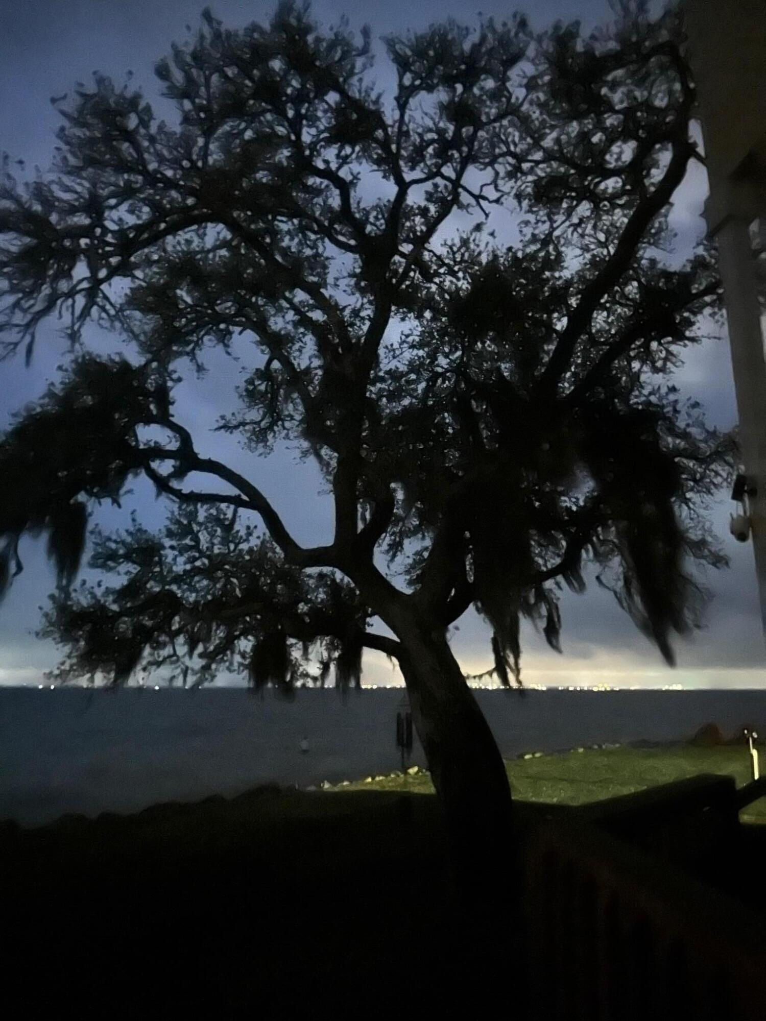 DOLPHIN COVE ESTATES - Residential