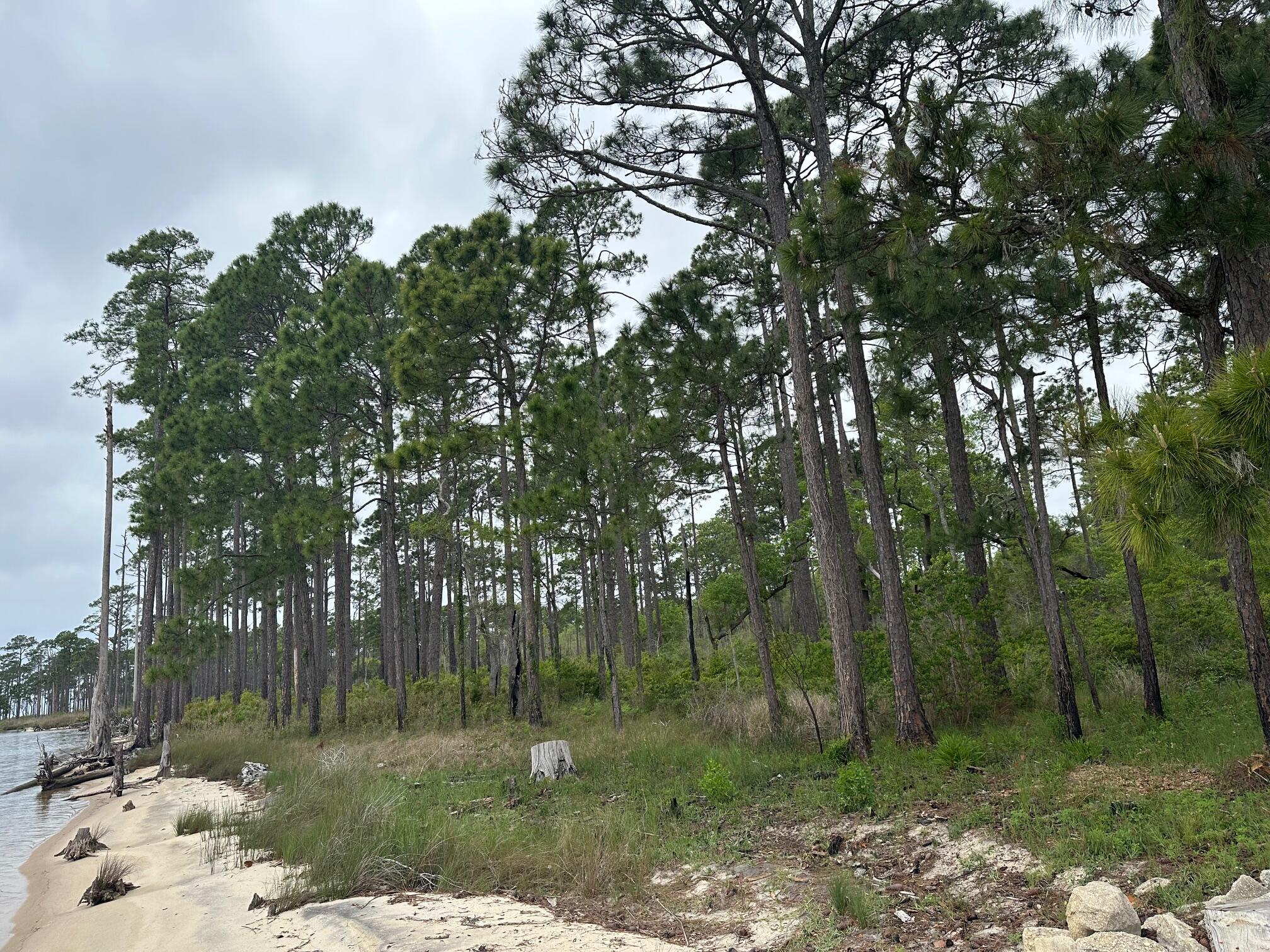 DOLPHIN COVE ESTATES - Residential