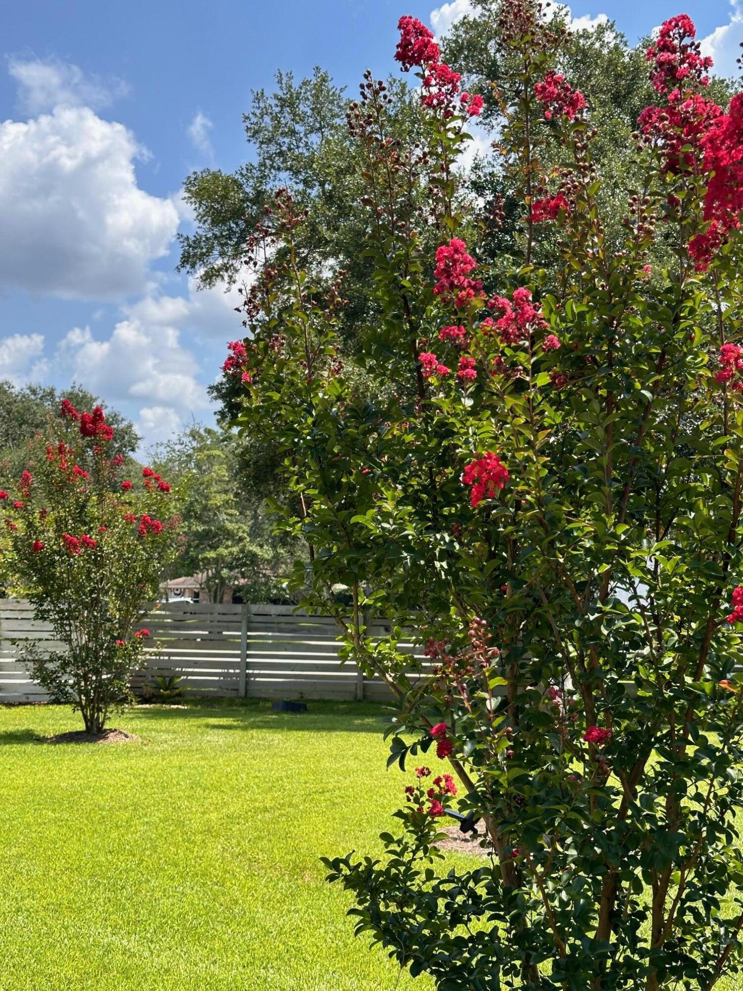 DOLPHIN COVE ESTATES - Residential