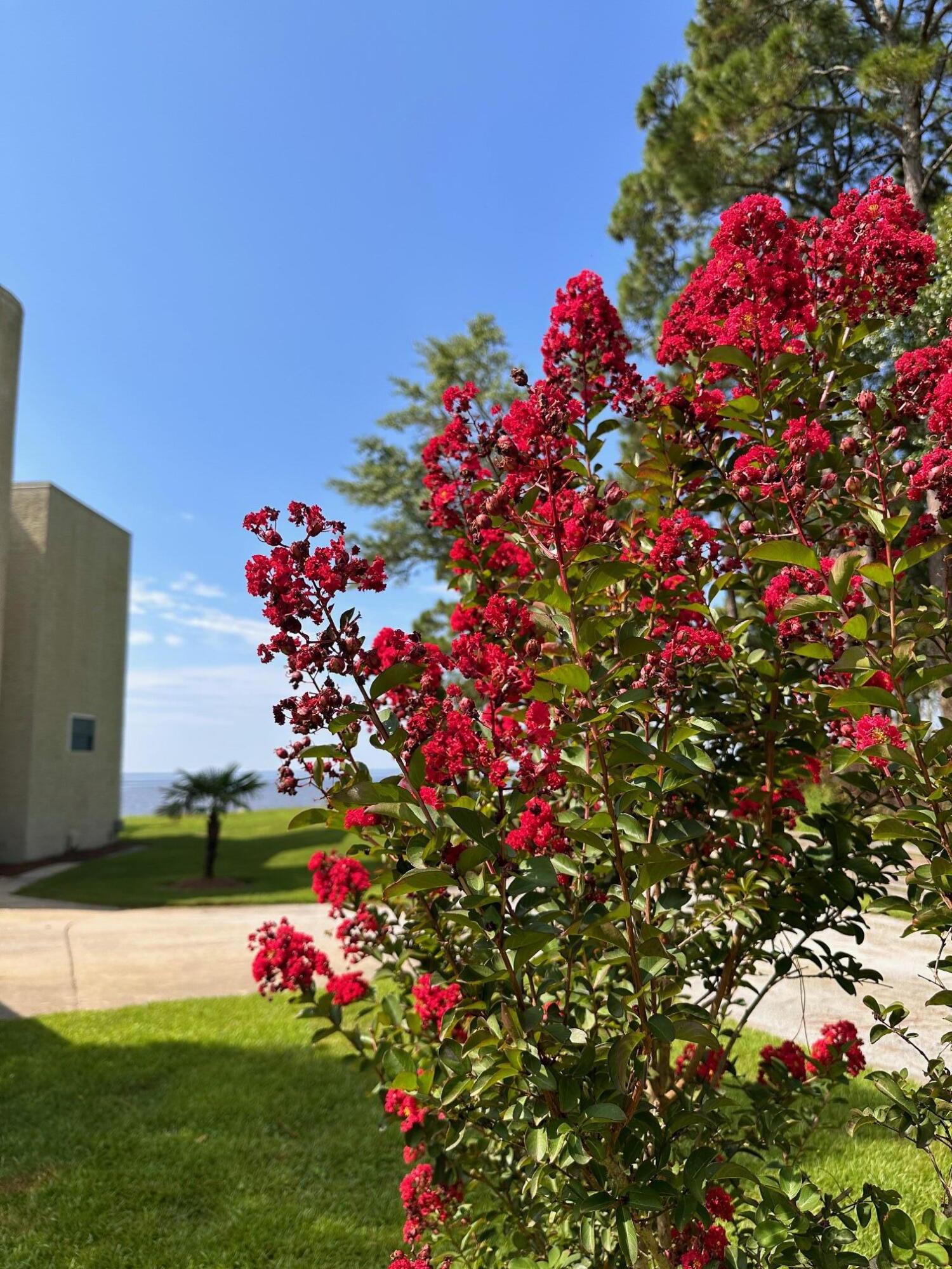 DOLPHIN COVE ESTATES - Residential