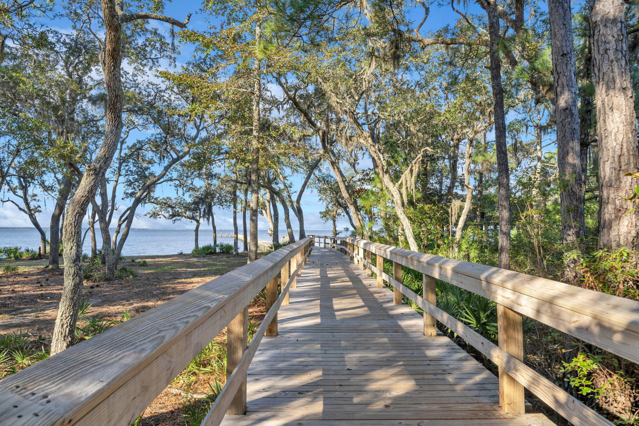 HAMMOCK BAY - STARBURST - Residential