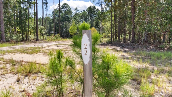 23 W CAPTAIN FRITZ'S WAY, FREEPORT, FL 32439 - Image 3c1c3b9f2daff1d4cc55cab09d5cefdd/3249354926