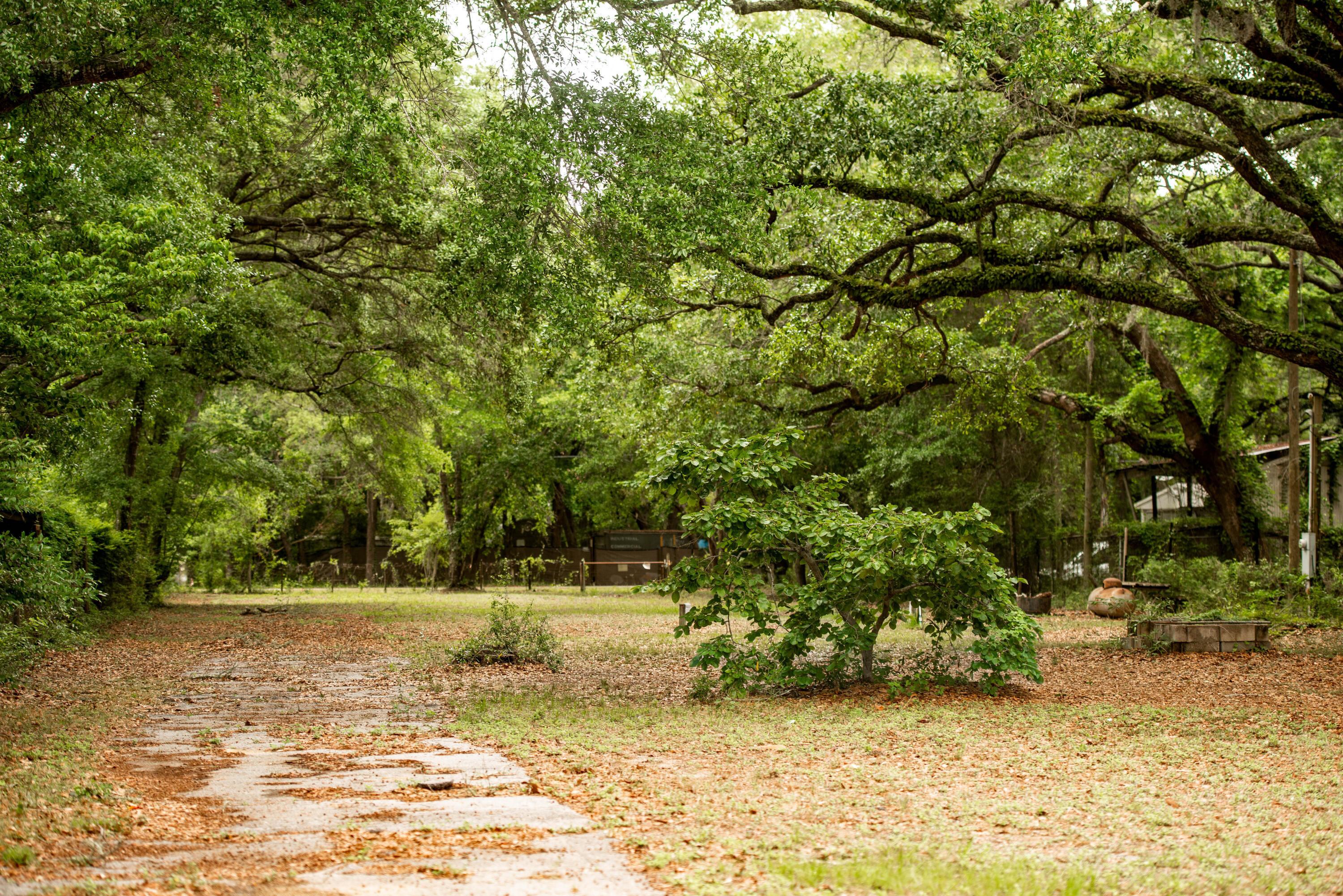 CHOCTAWHATCHEE BEACH - Land