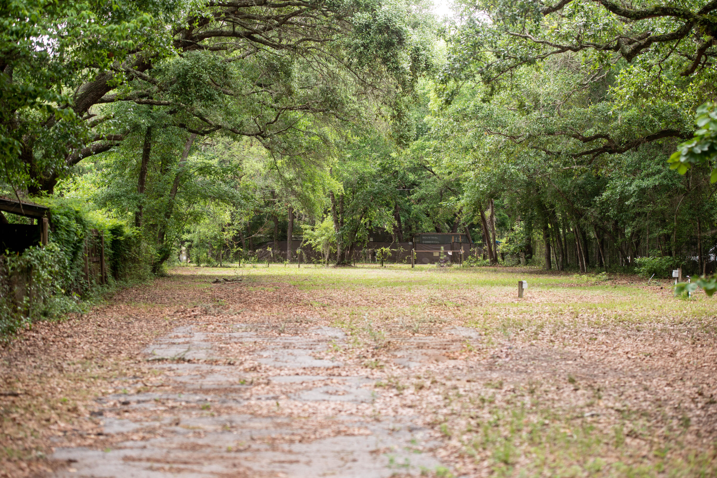 CHOCTAWHATCHEE BEACH - Land