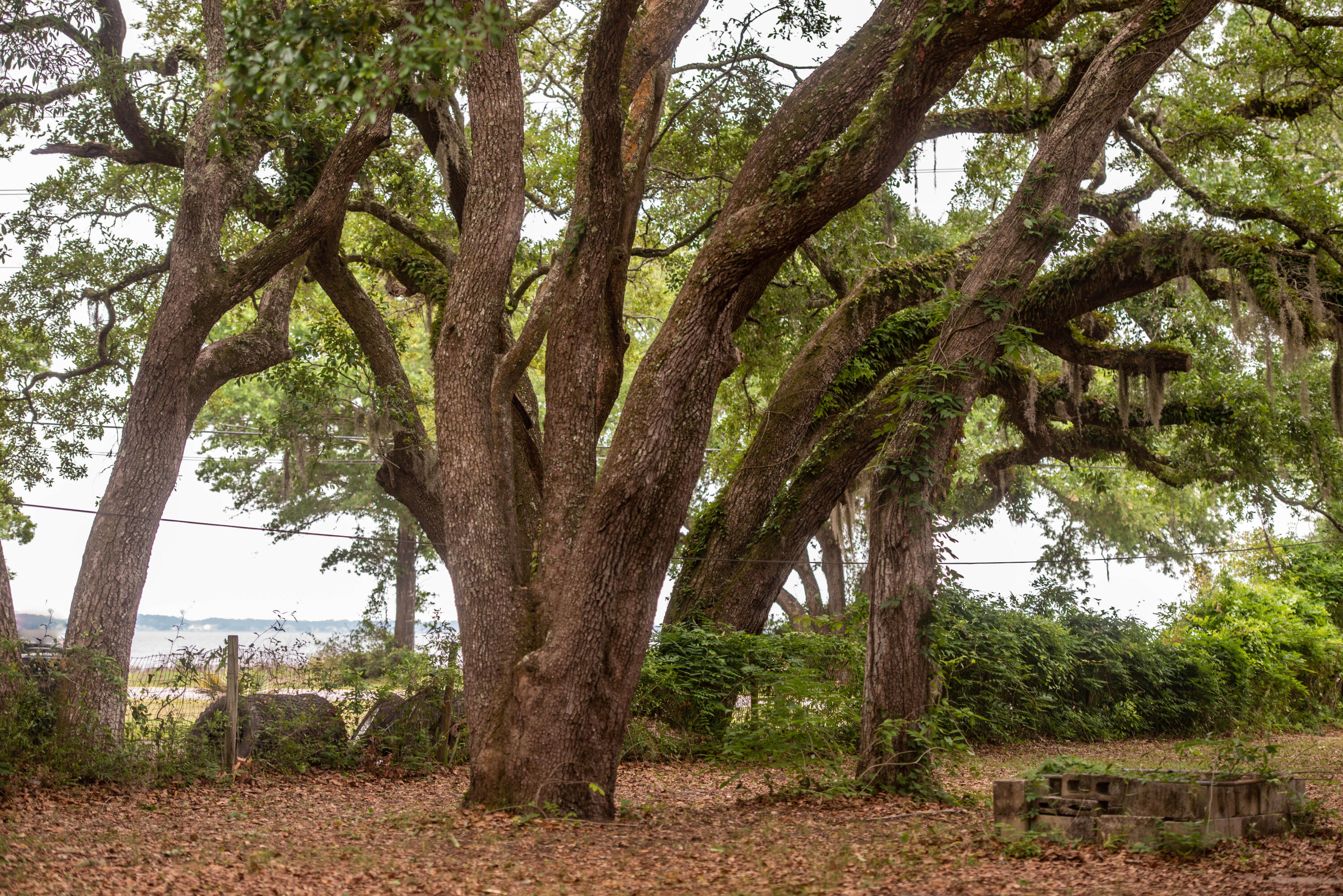 CHOCTAWHATCHEE BEACH - Land