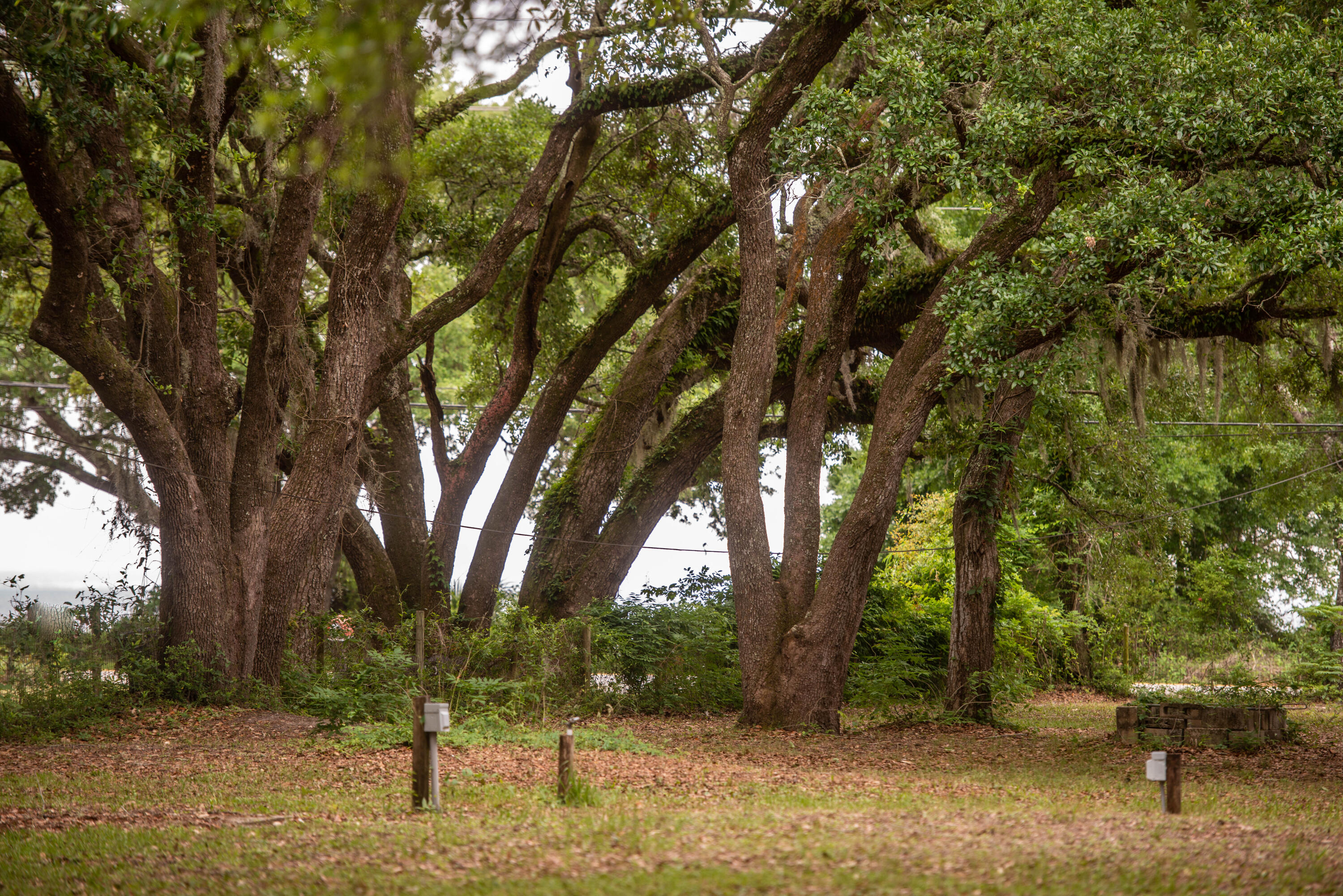 CHOCTAWHATCHEE BEACH - Land