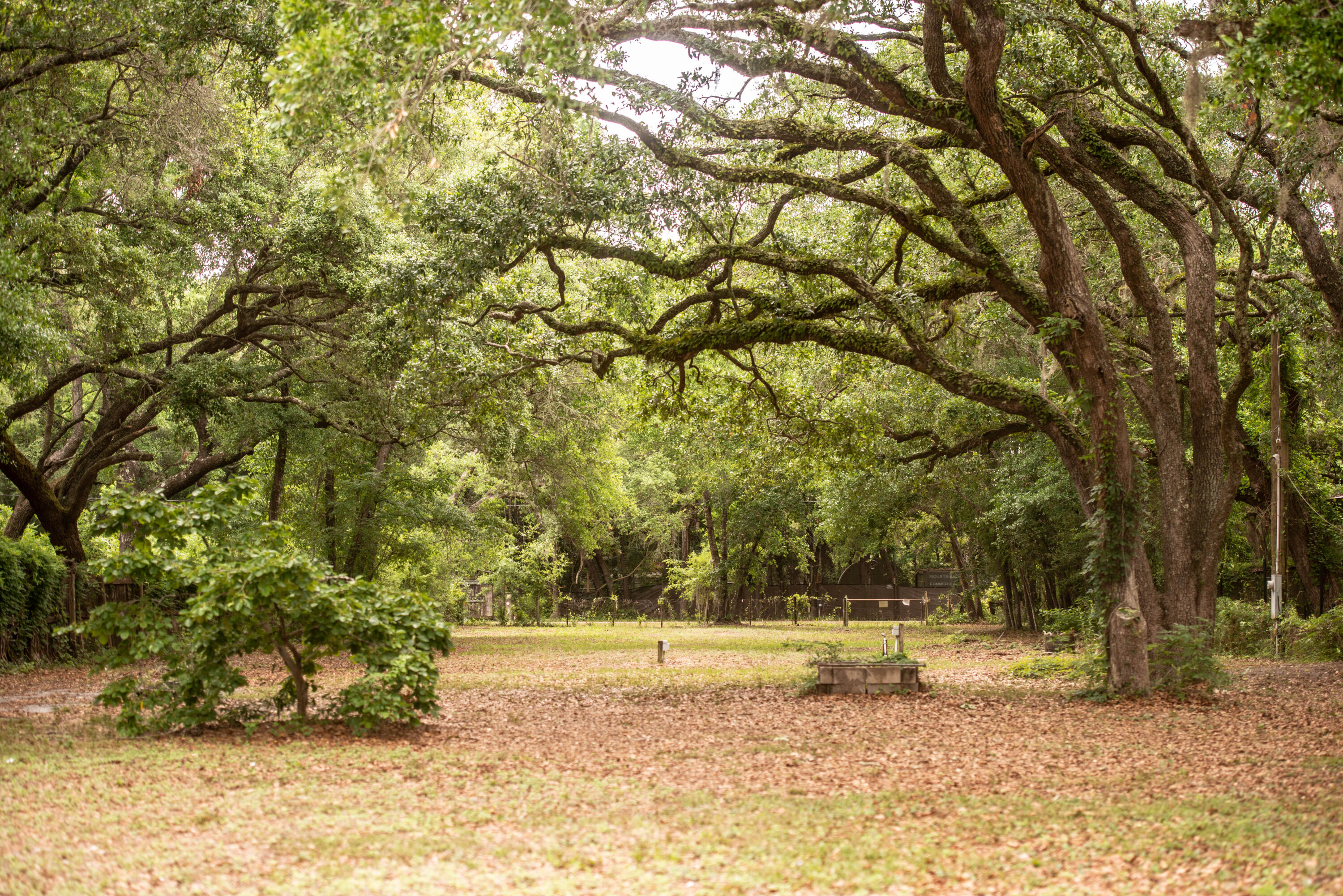 CHOCTAWHATCHEE BEACH - Land