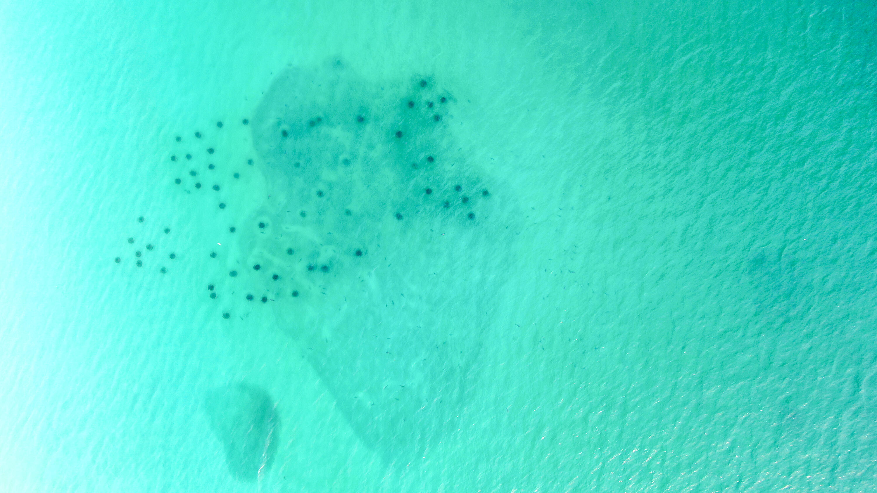 GRAND HARBOUR of SANDESTIN - Residential