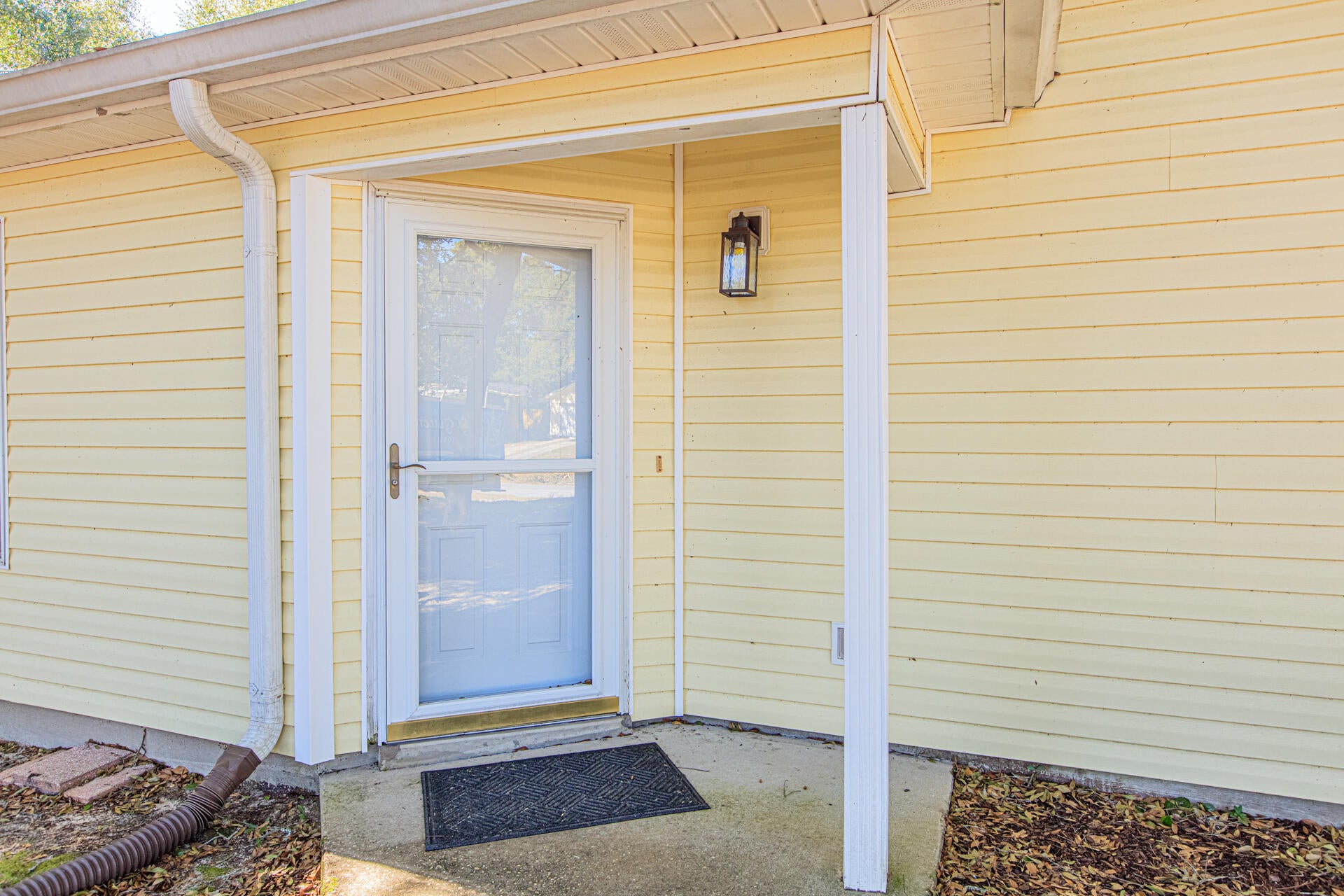 280 Timber Wind Drive