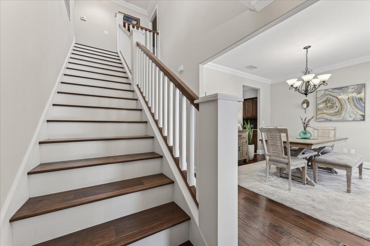 ALCONESE PLACE - Residential