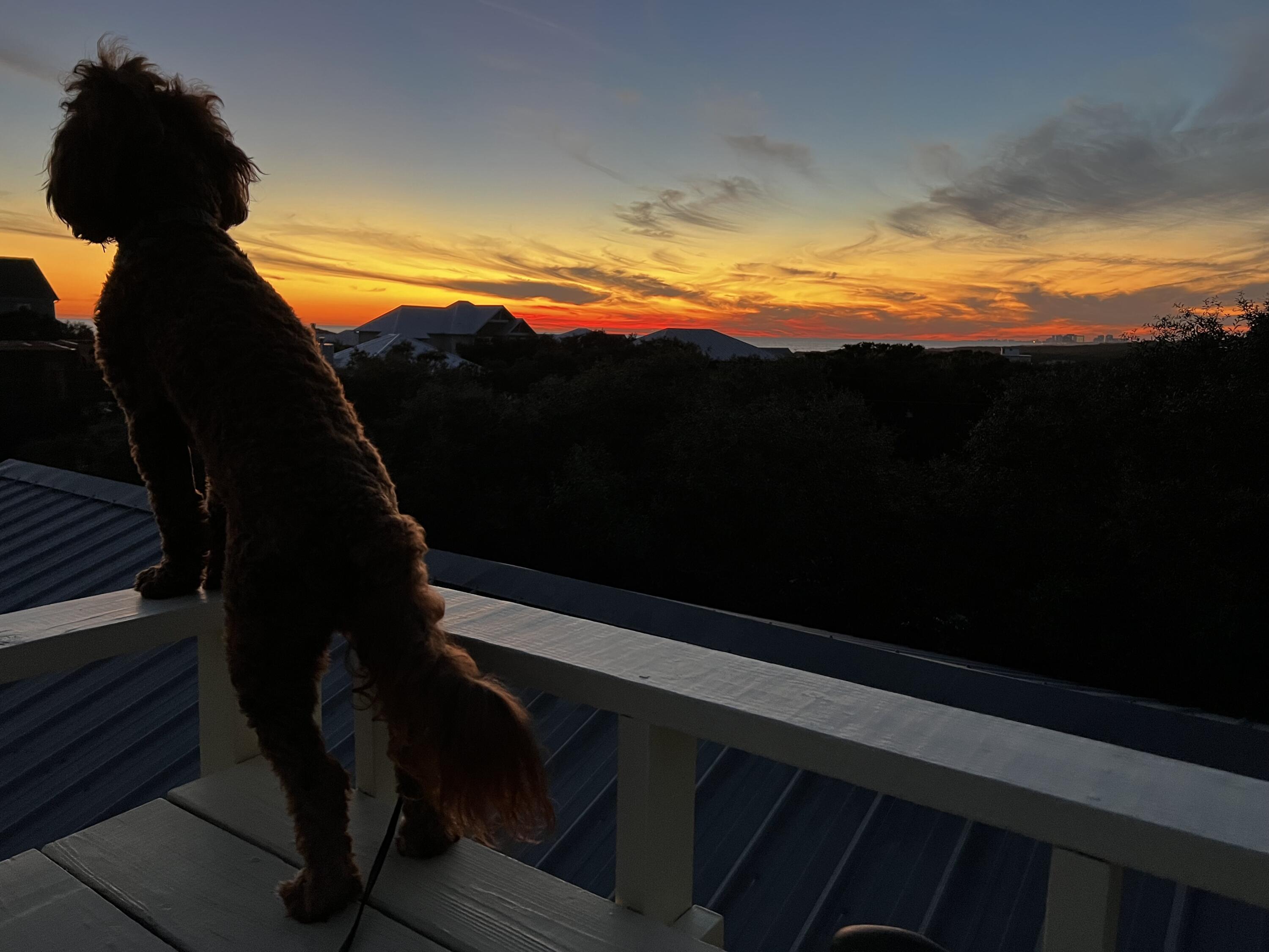 BEACH HIGHLAND 1ST ADD - Residential