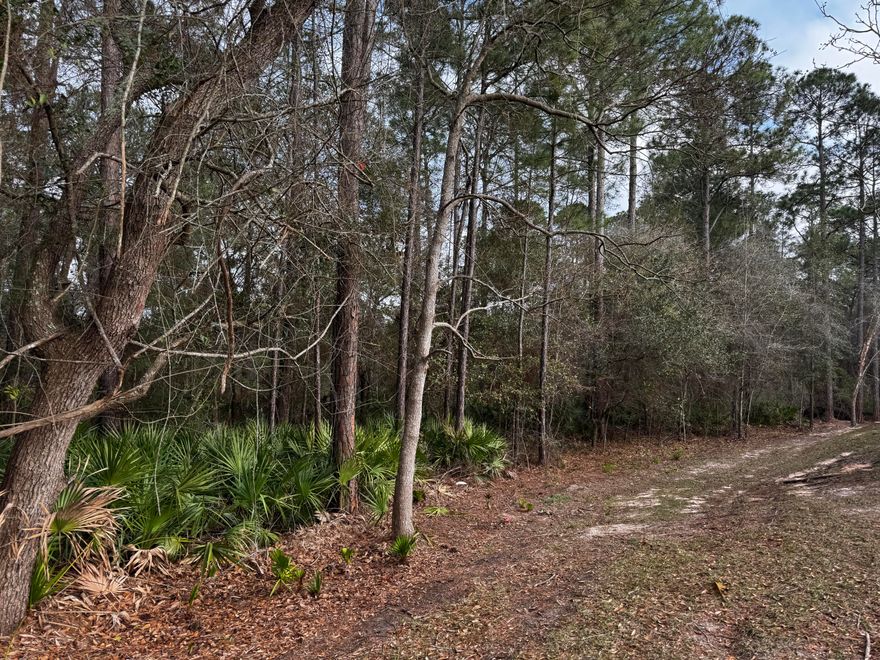 Beautiful wooded 4 acres with half acre uplands and 3.5 acre wetlands.  Property is next door to the Blue Angel Seventh-Day Adventist Church. Easement would be from church or house in front but currently does not have one.  Zoned MDR.