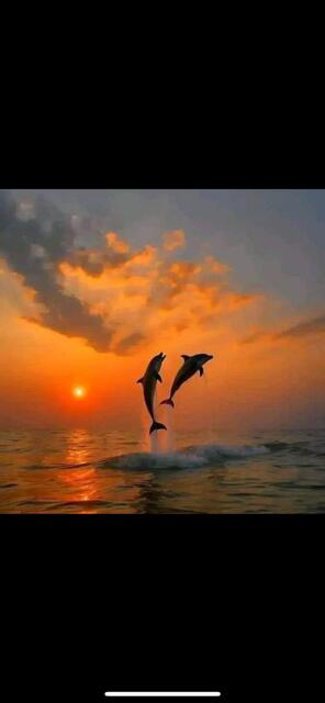 ARIEL DUNES II - Residential