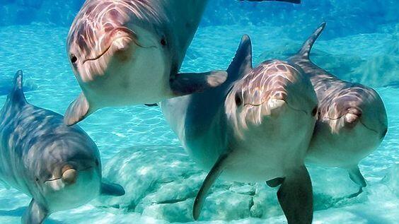 ARIEL DUNES II - Residential