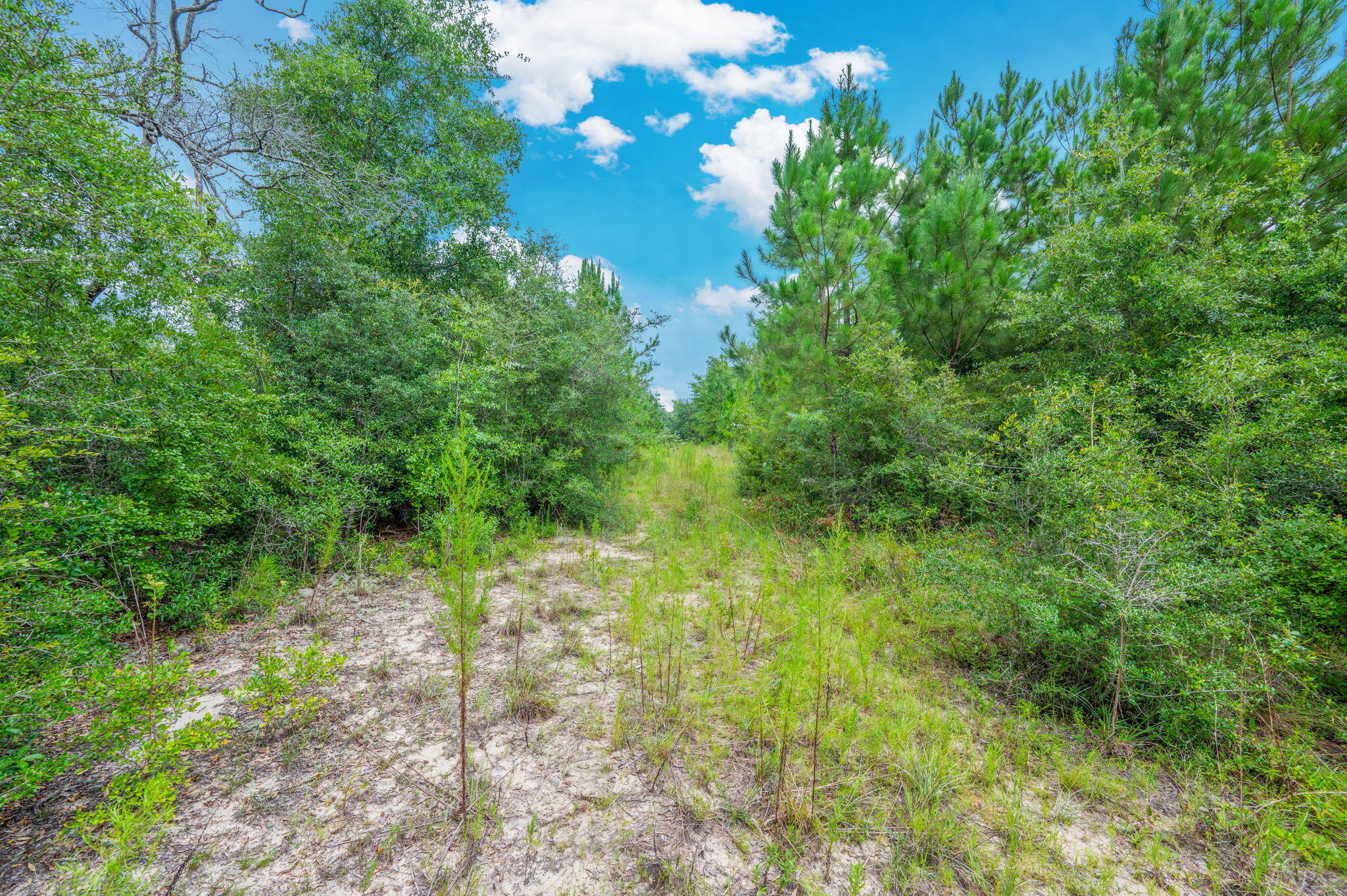 METES & BOUNDS - Land