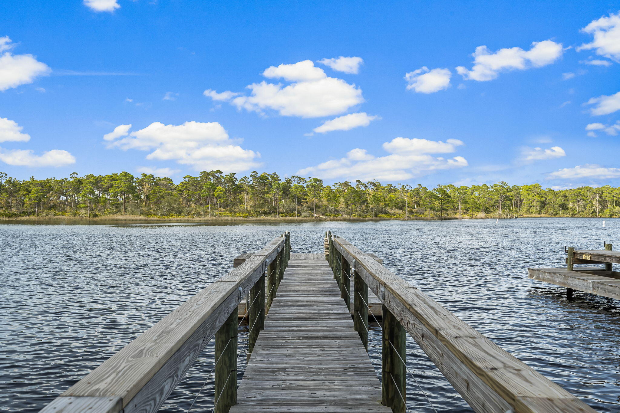 GRANDE POINTE AT INLET BEACH - Residential