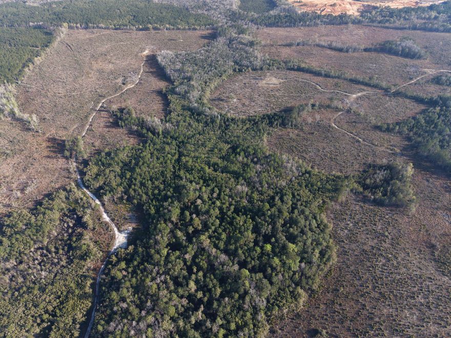 526 +/- acres in Holmes County featuring excellent hunting and recreational opportunities. Loaded with deer and turkey, this tract offers privacy, wildlife habitat, and plenty of room for hunting, riding trails, or a private getaway. Ideal for outdoor enthusiasts and investors alike.