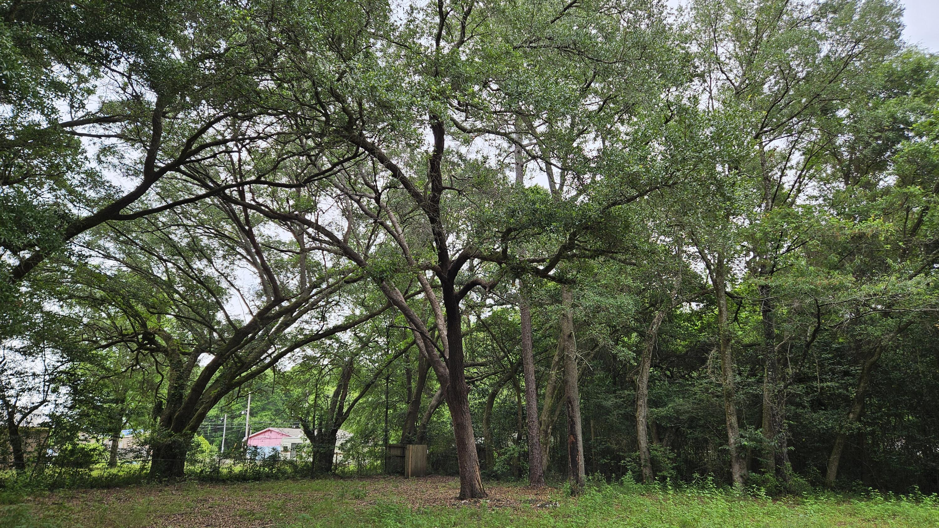 NO RECORDED SUBDIVISION - Land