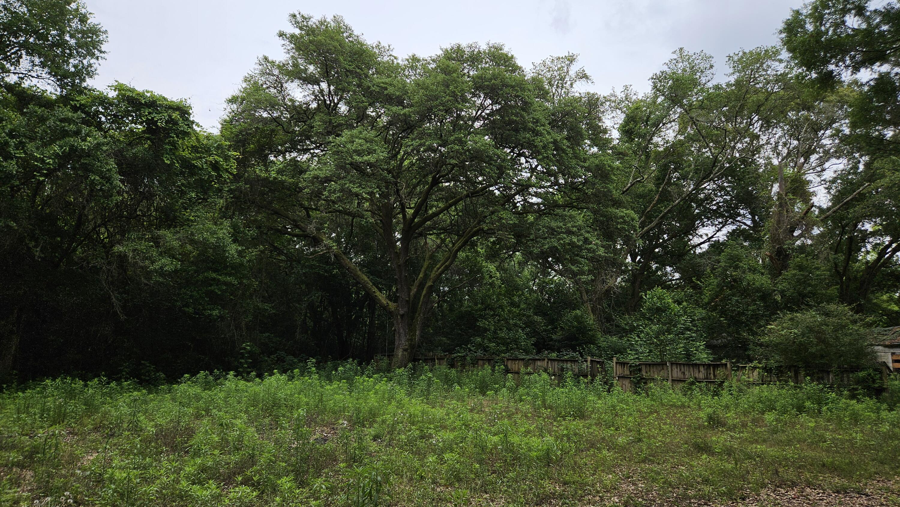 NO RECORDED SUBDIVISION - Land