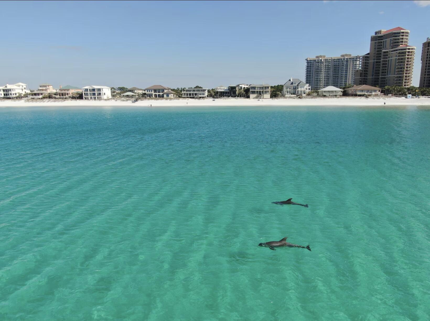 SANDPIPER VILLAGE CONDO - Residential