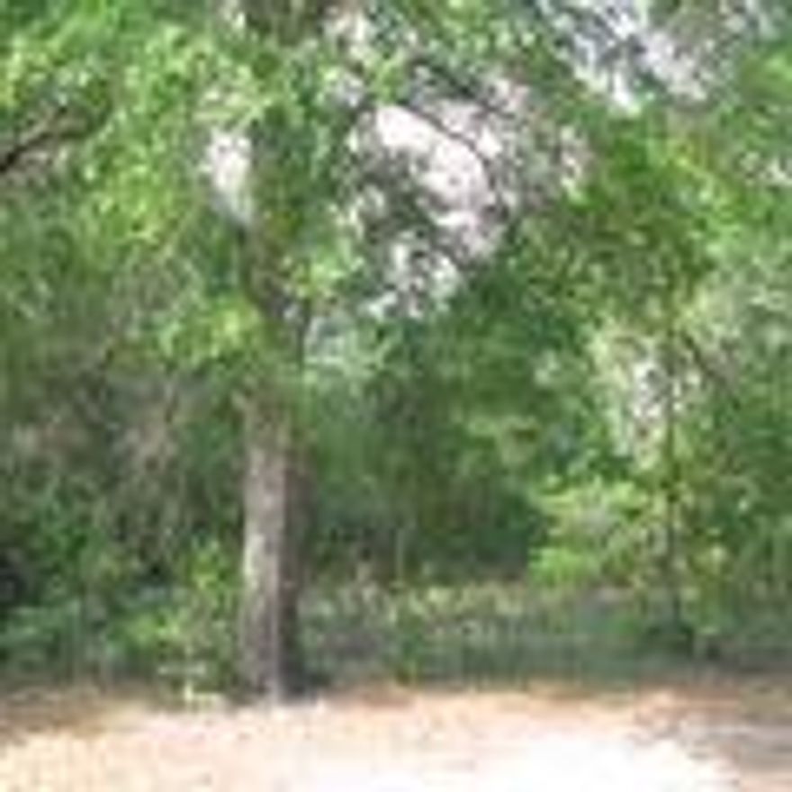 3.1 acres on N Park St and Quebec St. Zoned Light Industrial in City limits of Defuniak Springs and Future Land Use designation of Medium Density Residential. Listing agent has an ownership interest. Tax id# 25-3N-19-19070-001-5430.  Lot is level and wooded.