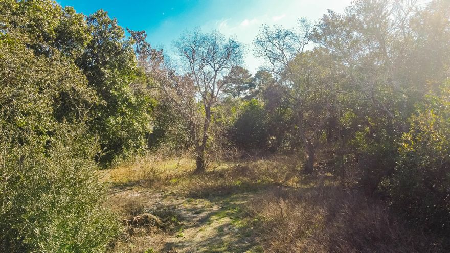 Come check out this 0.25 acre lot located near Panama City Beach! Build your dream home or beach getaway on this spacious lot located on a cul-de-sac within minutes of the gulf & beach access. The property has full rights to Lake Powell Park, which include amenities such as a boat ramp, playground and picnic areas. The lot is located within a mile of the Publix at Ocean Park & public beach access, as well as being within 4 miles of Rosemary Beach & within 6 miles of Panama City Beach.