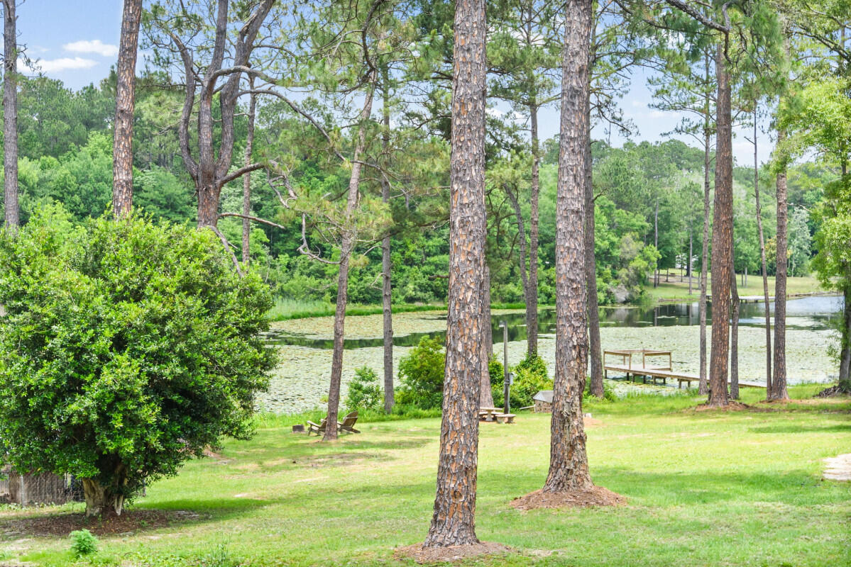 699 Pinewood Drive