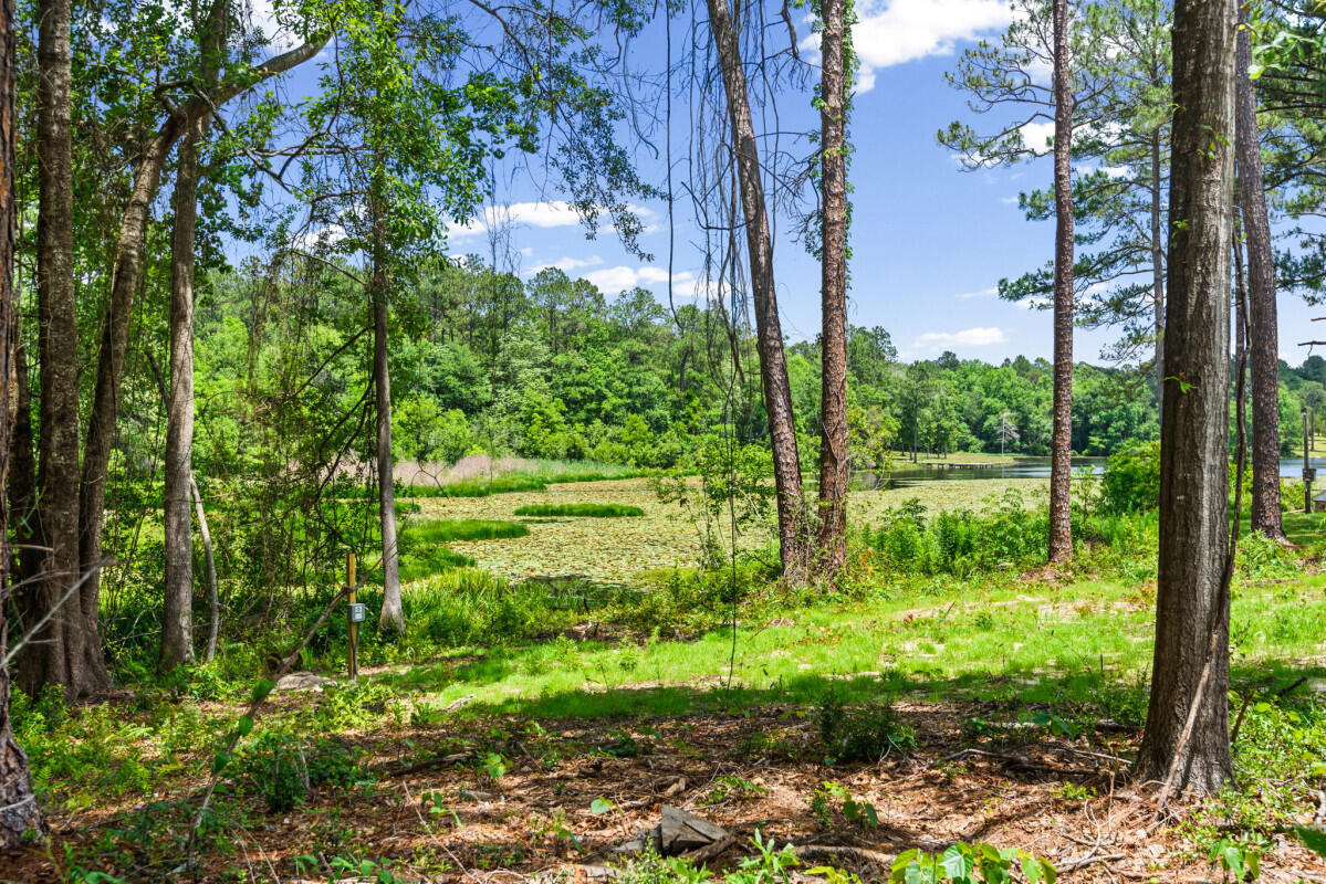 699 Pinewood Drive