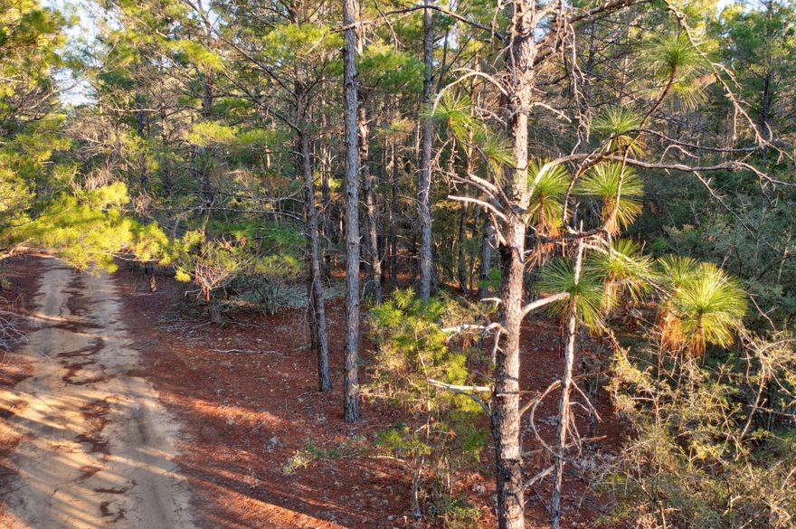 Build your dream home on this .92 acre vacant lot in the Oakwood Hills Subdivision! Zoned rural Residential, this property allows for mobile/manufactured homes, giving you flexible options for your next build. Conveniently located off HWY 90, offering an easy commute while still providing that peaceful, country feel. Flood Zone X! 
Bring your plans, this homesite is ready for your vision!