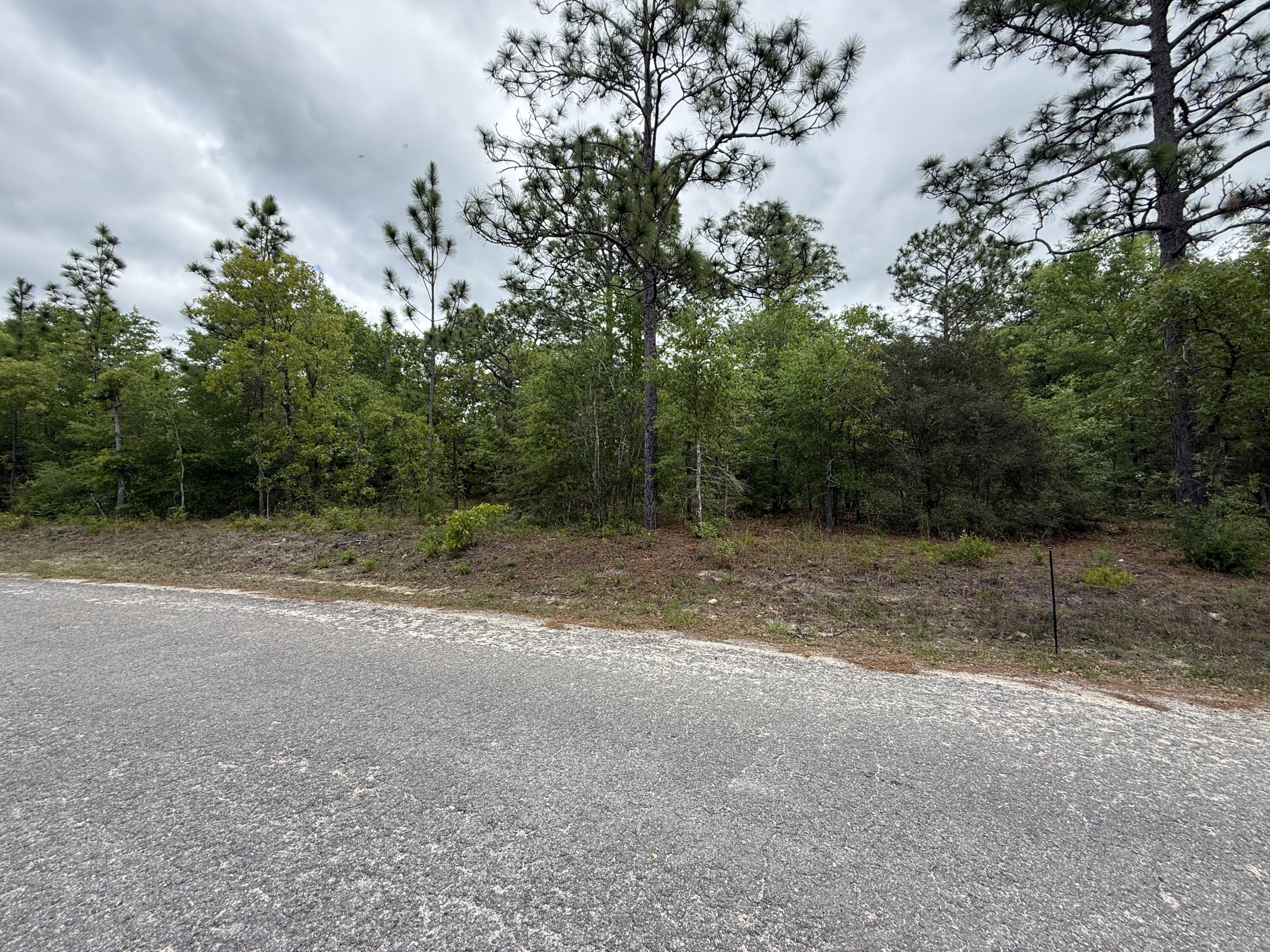 OAKWOOD LAKES ESTATES - Land