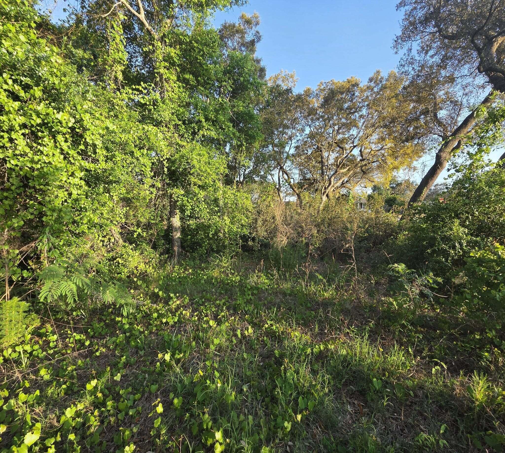 EAST BAY HEIGHTS - Land