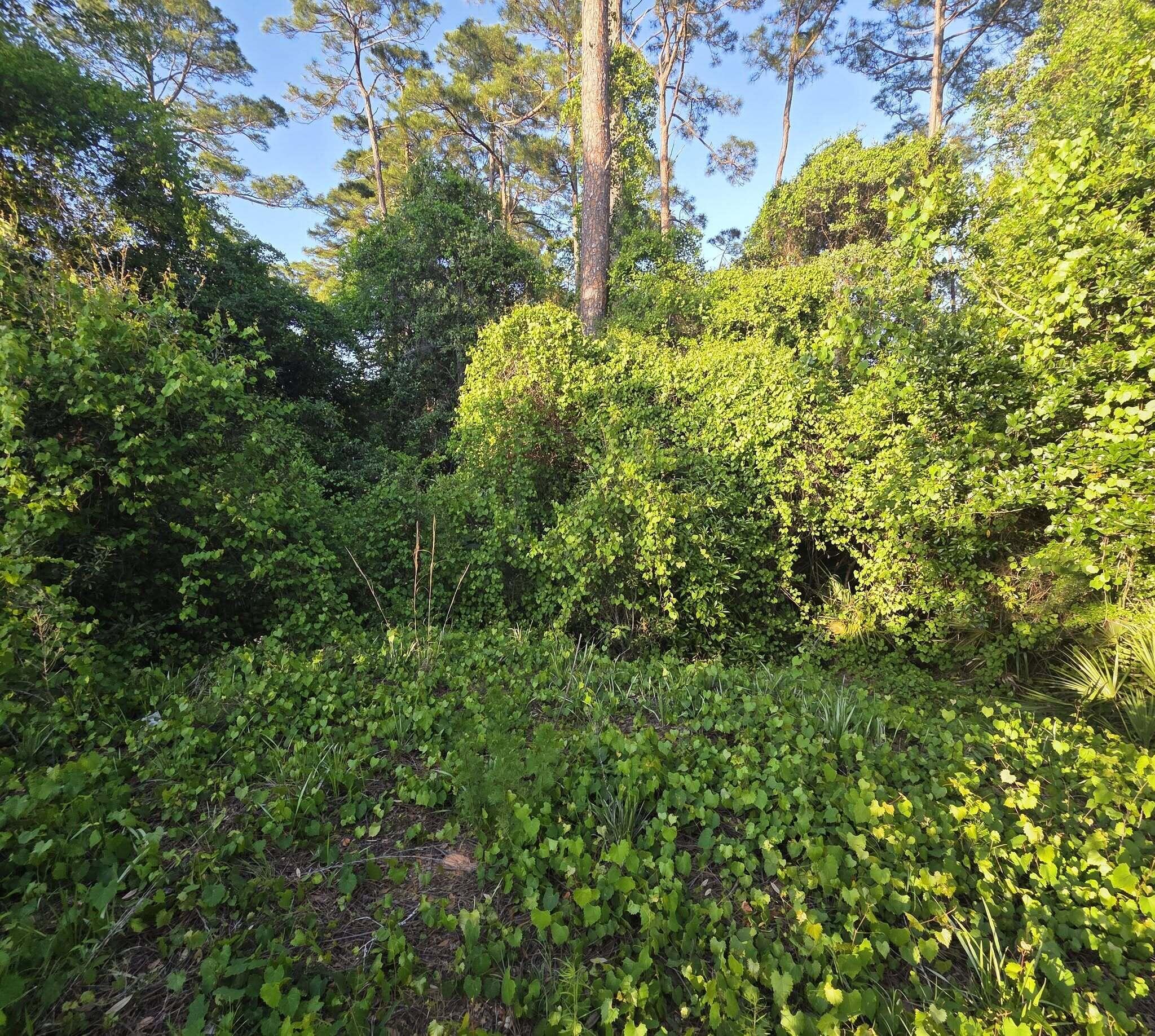 EAST BAY HEIGHTS - Land