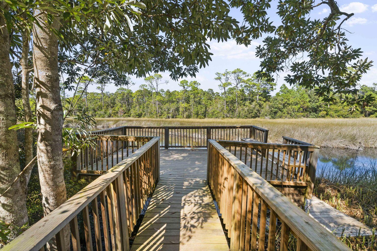 THE PRESERVE AT INLET BEACH - Land
