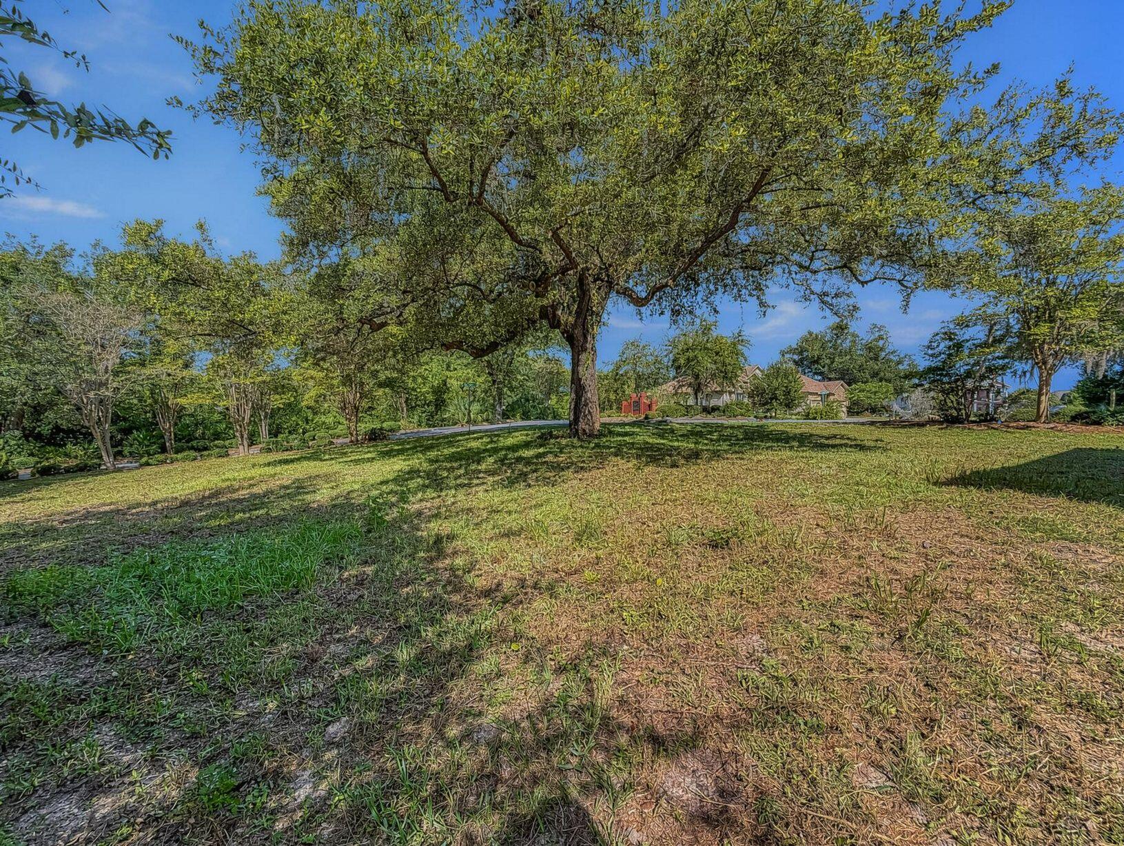 1150 Cove Pointe Drive